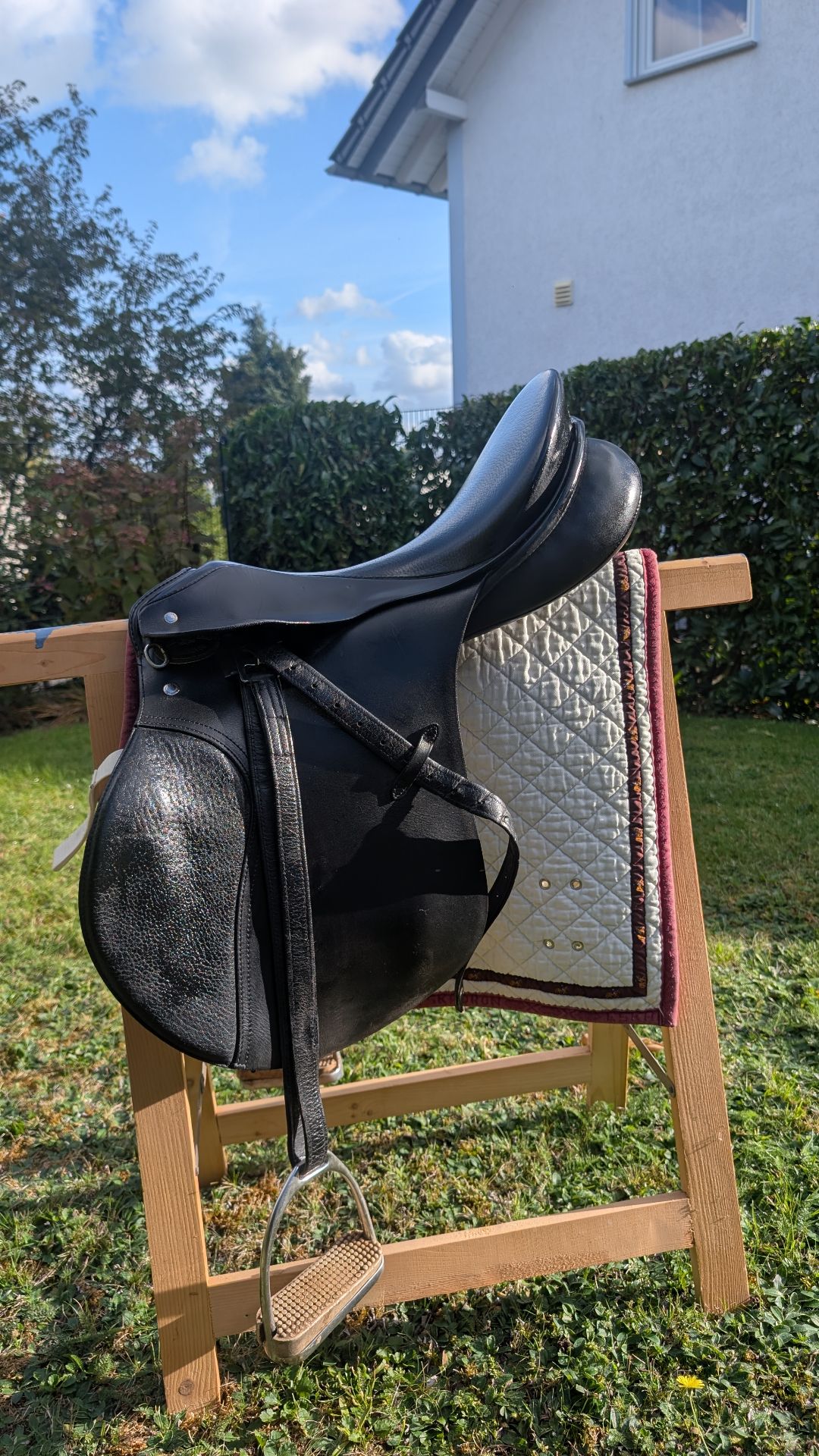 Passier A Tempi S – Bild 3 von 10