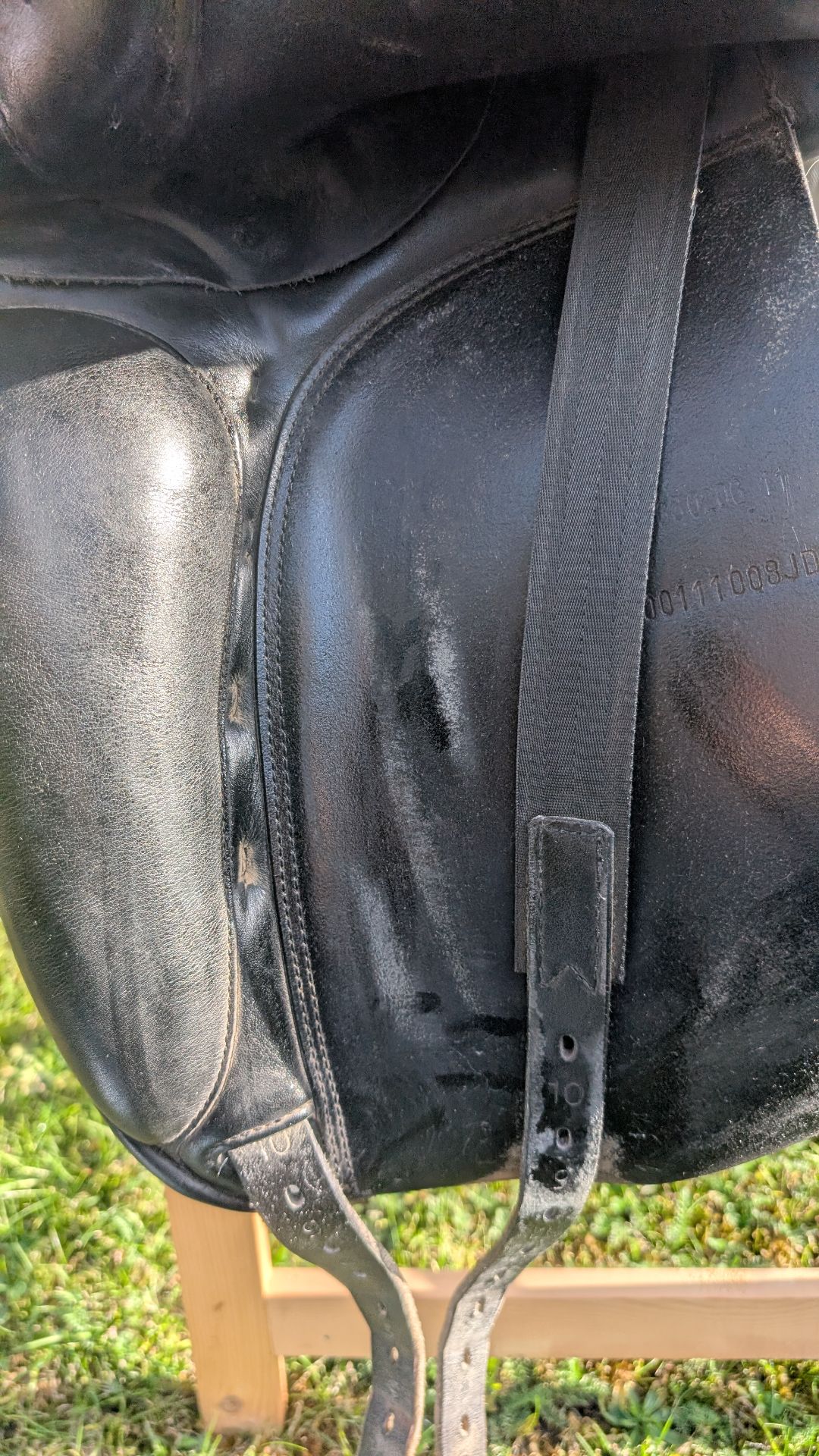 Prestige Top Dressage – Bild 1 von 8