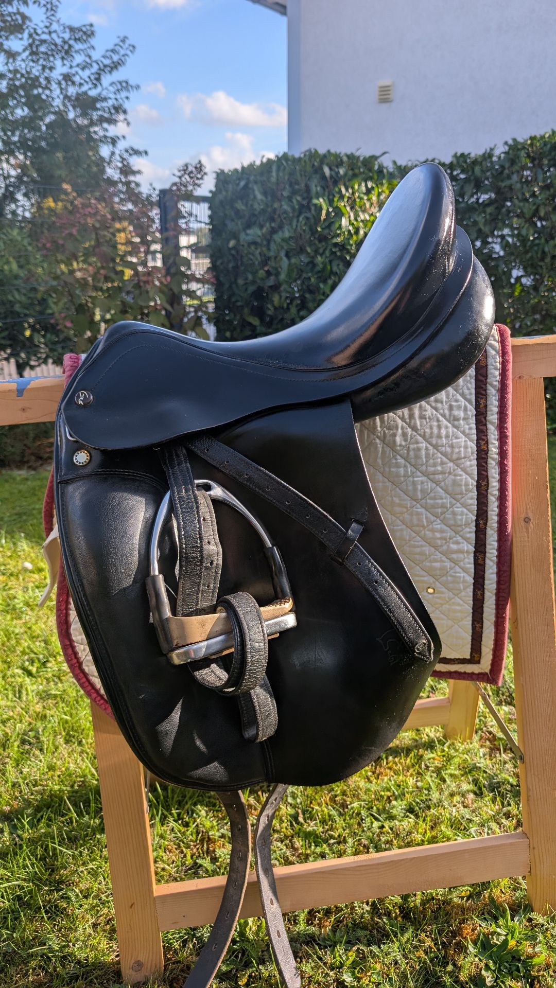Prestige Top Dressage – Bild 4 von 8
