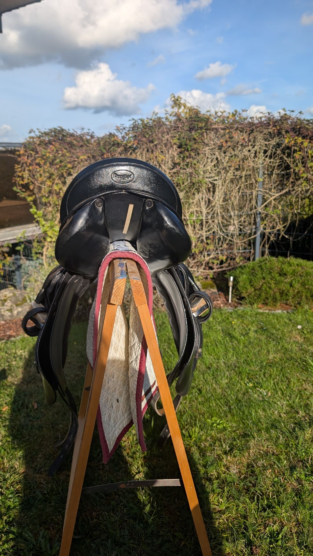 Prestige Top Dressage – Bild 3 von 8