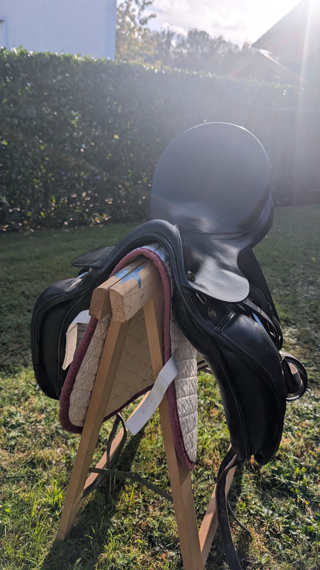 Prestige Top Dressage – Bild 8 von 8
