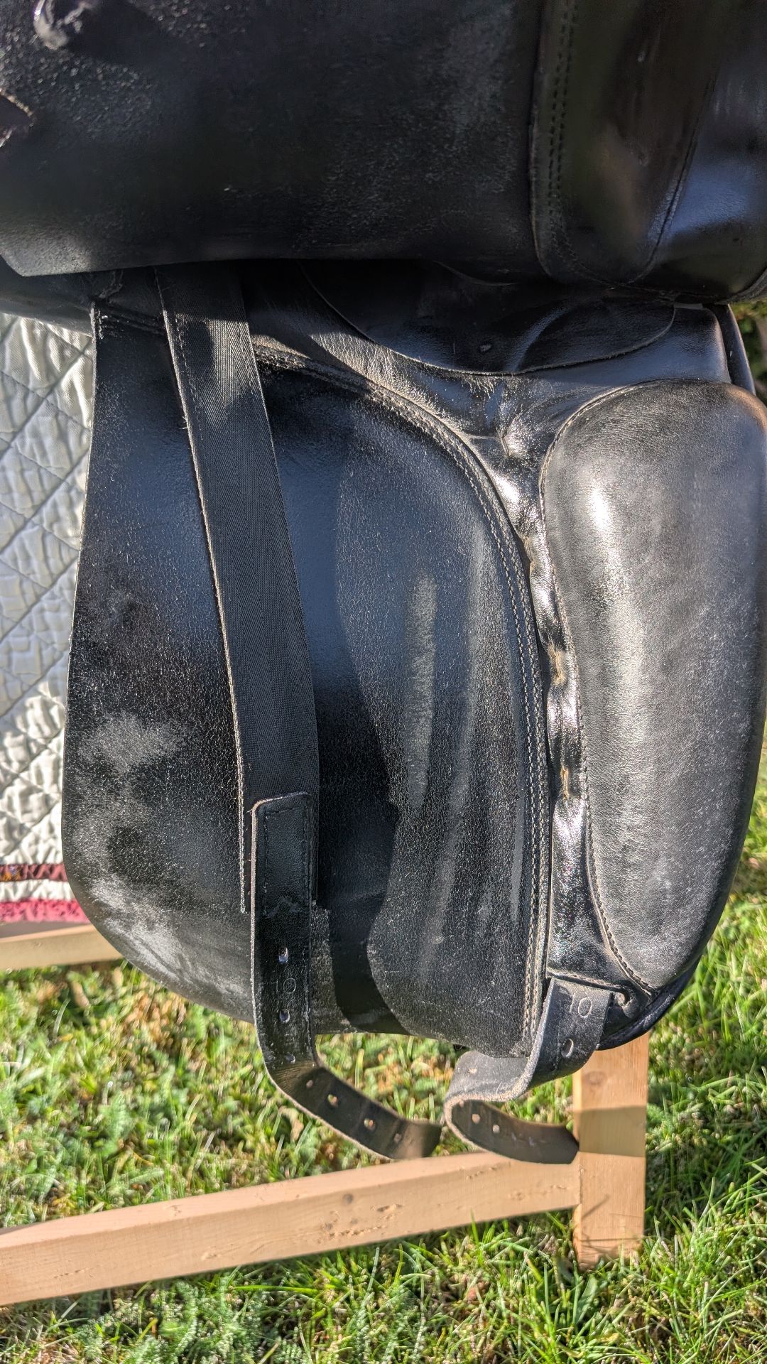 Prestige Top Dressage – Bild 2 von 8