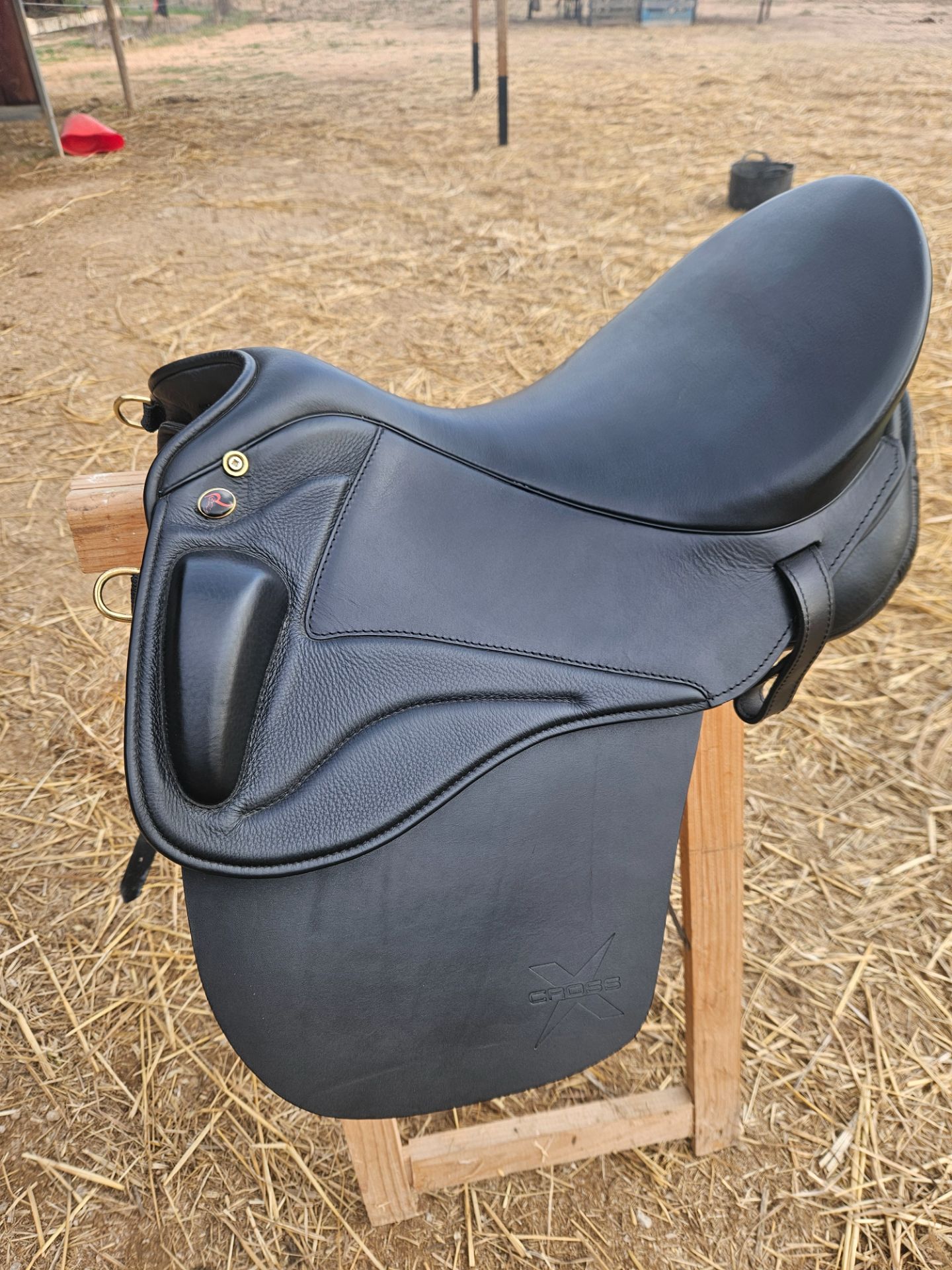 Sommer Remos X-Cross Dressage – Bild 1 von 7