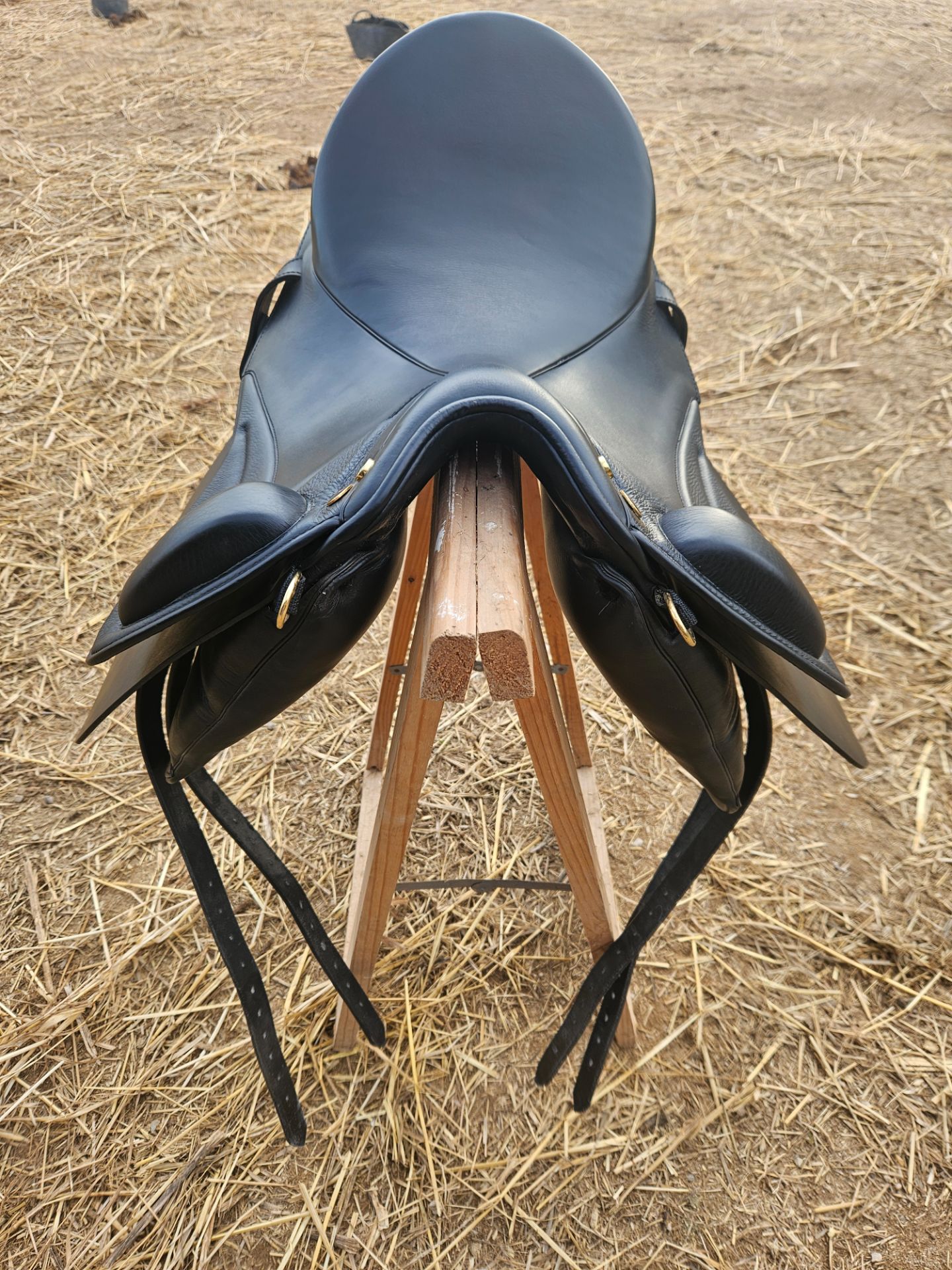 Sommer Remos X-Cross Dressage – Bild 3 von 7