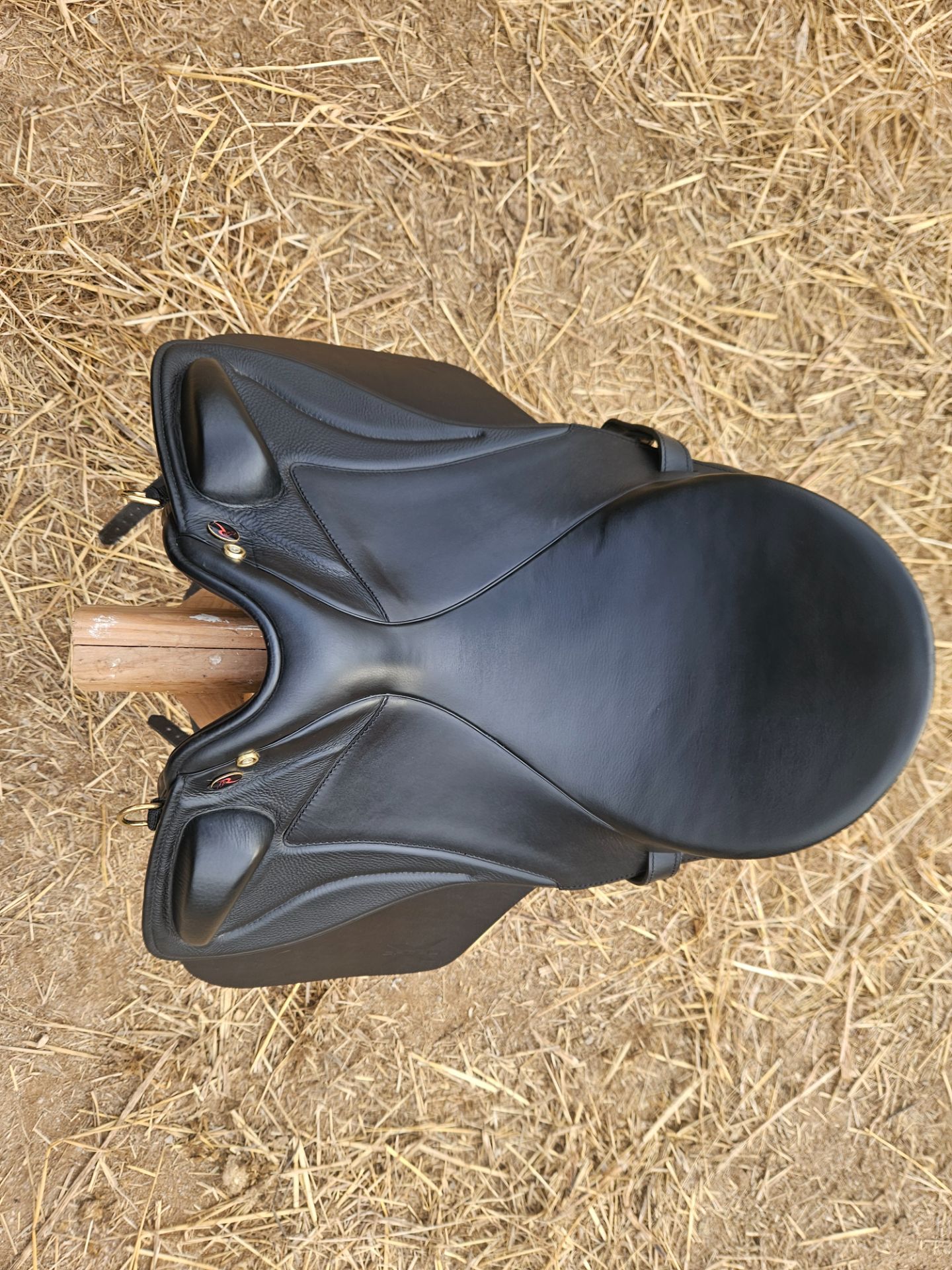 Sommer Remos X-Cross Dressage – Bild 4 von 7