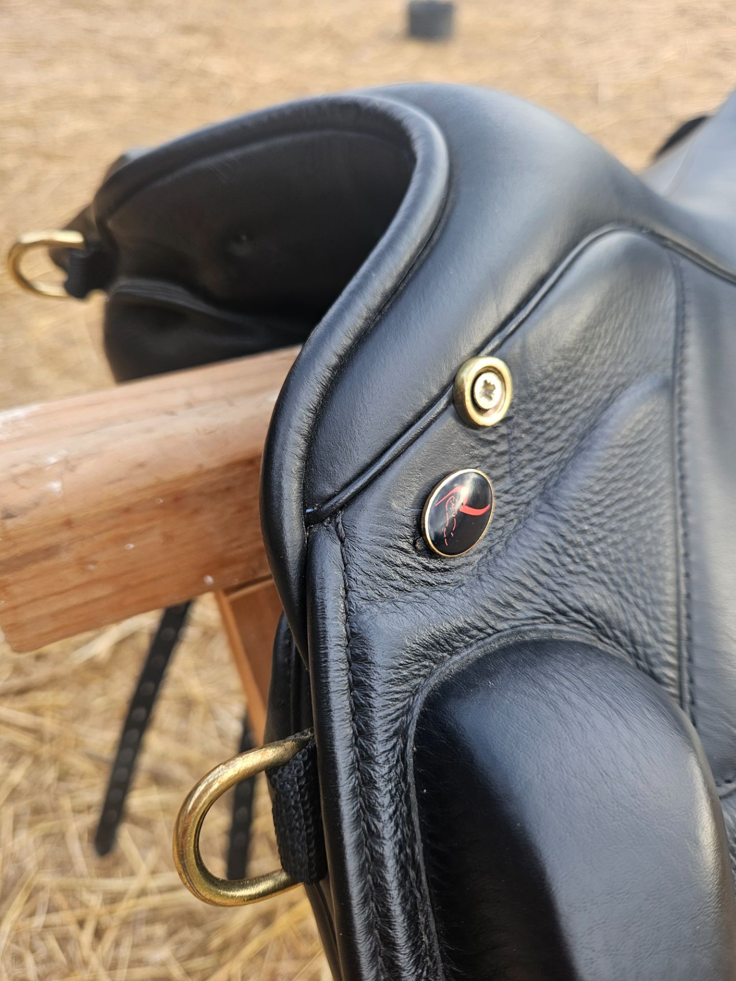 Sommer Remos X-Cross Dressage – Bild 5 von 7