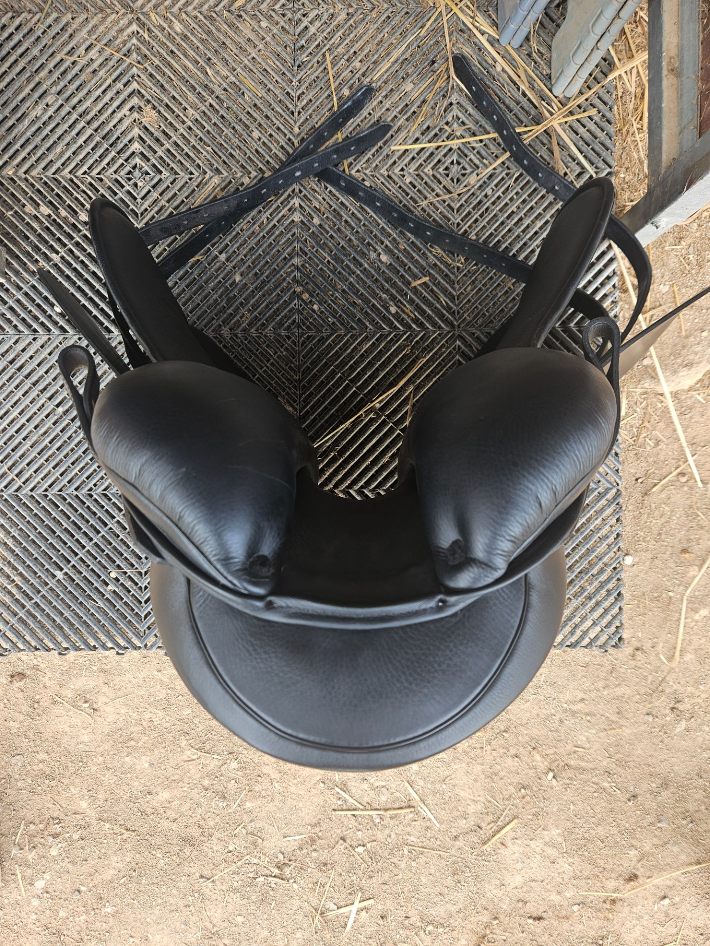Sommer Remos X-Cross Dressage – Bild 6 von 7