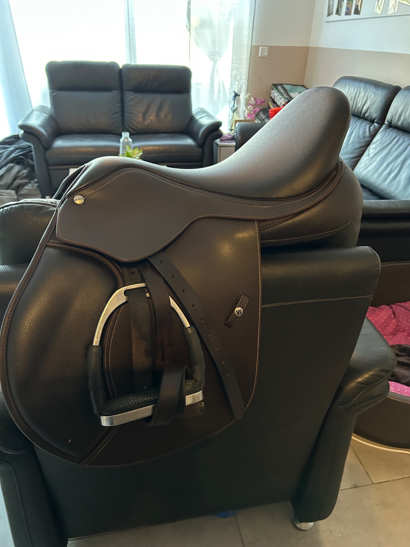 Wintec Jump – Bild 1 von 3