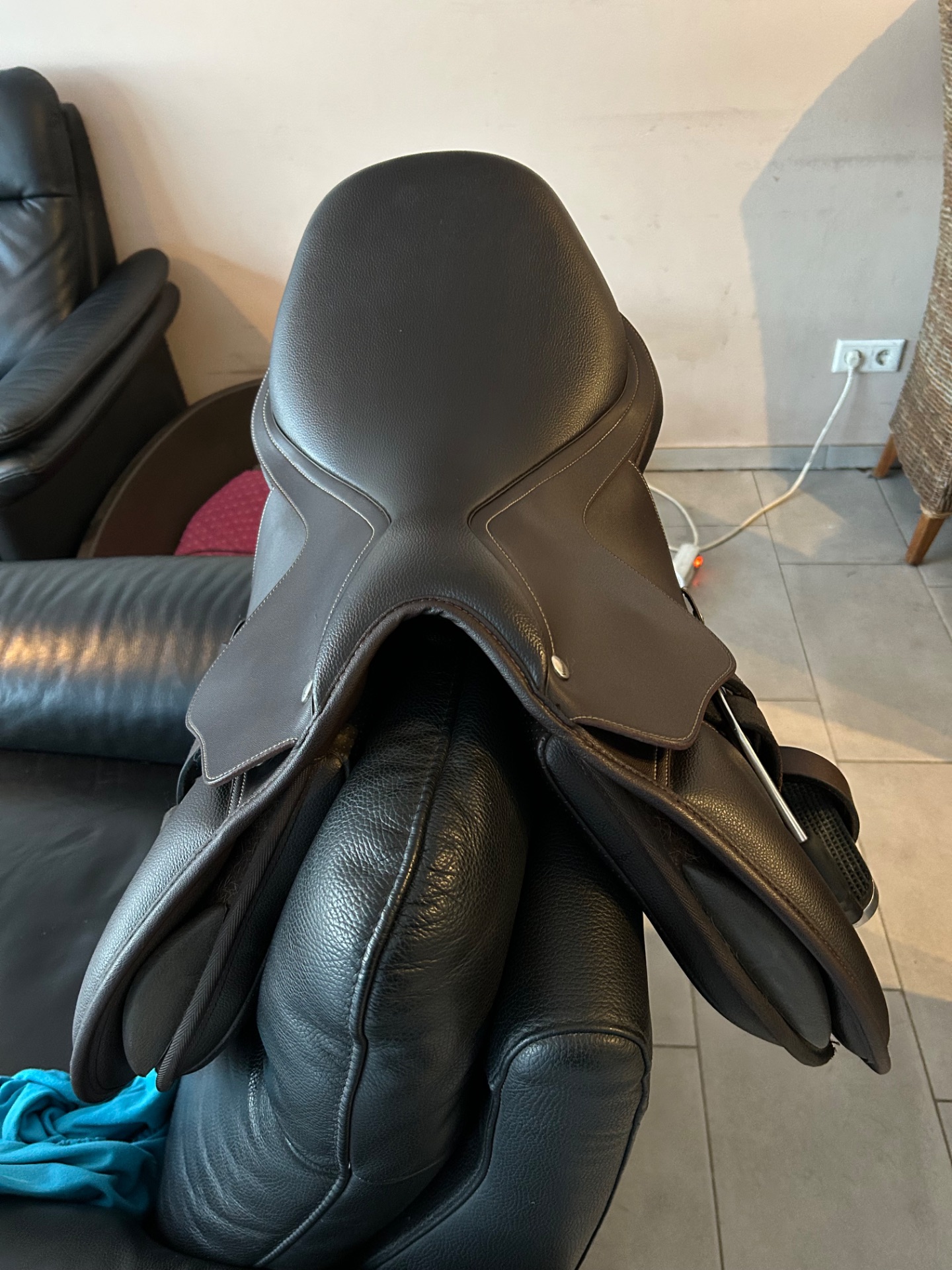 Wintec Jump – Bild 2 von 3