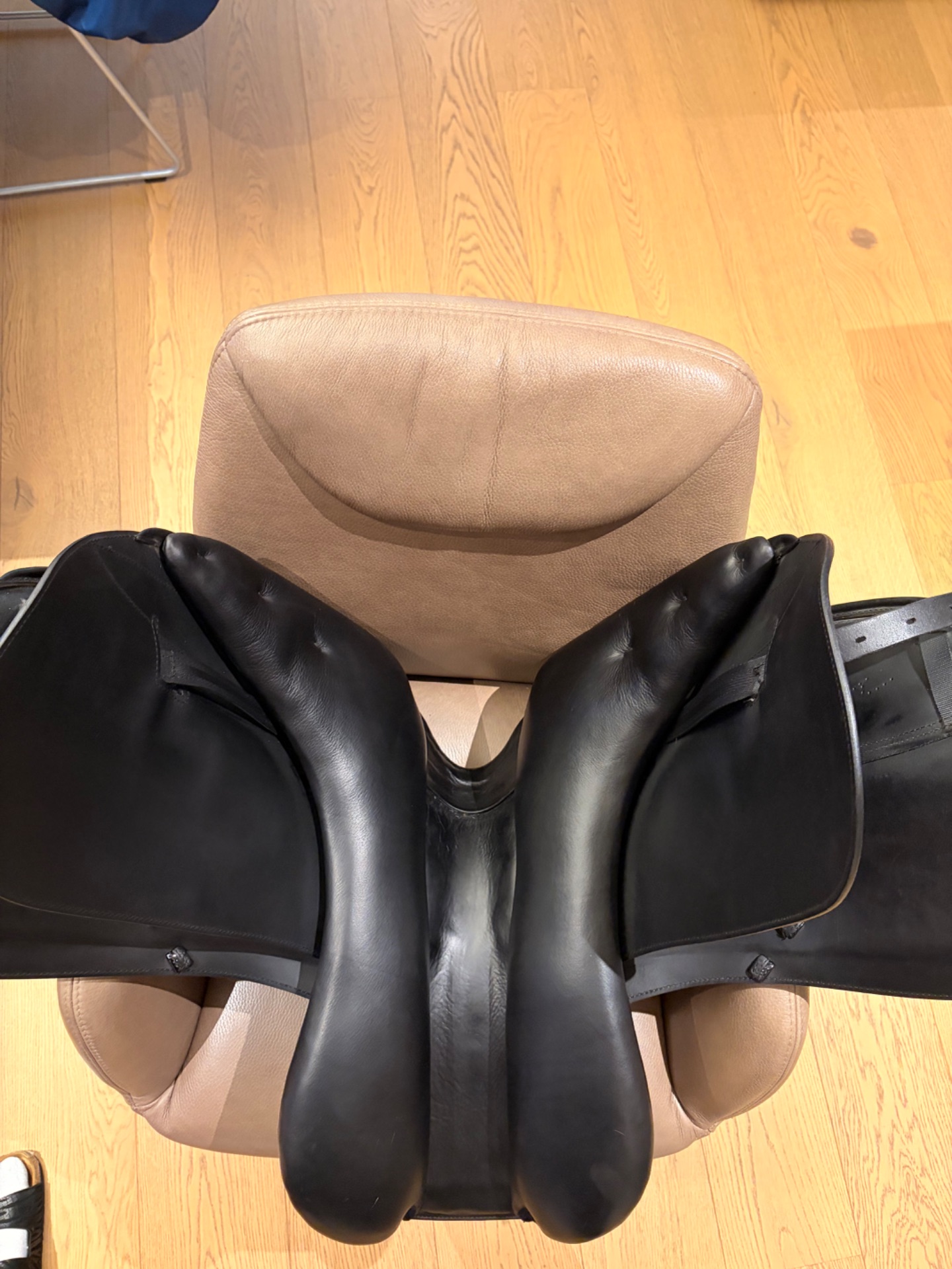 Prestige Helen FS – Bild 10 von 10