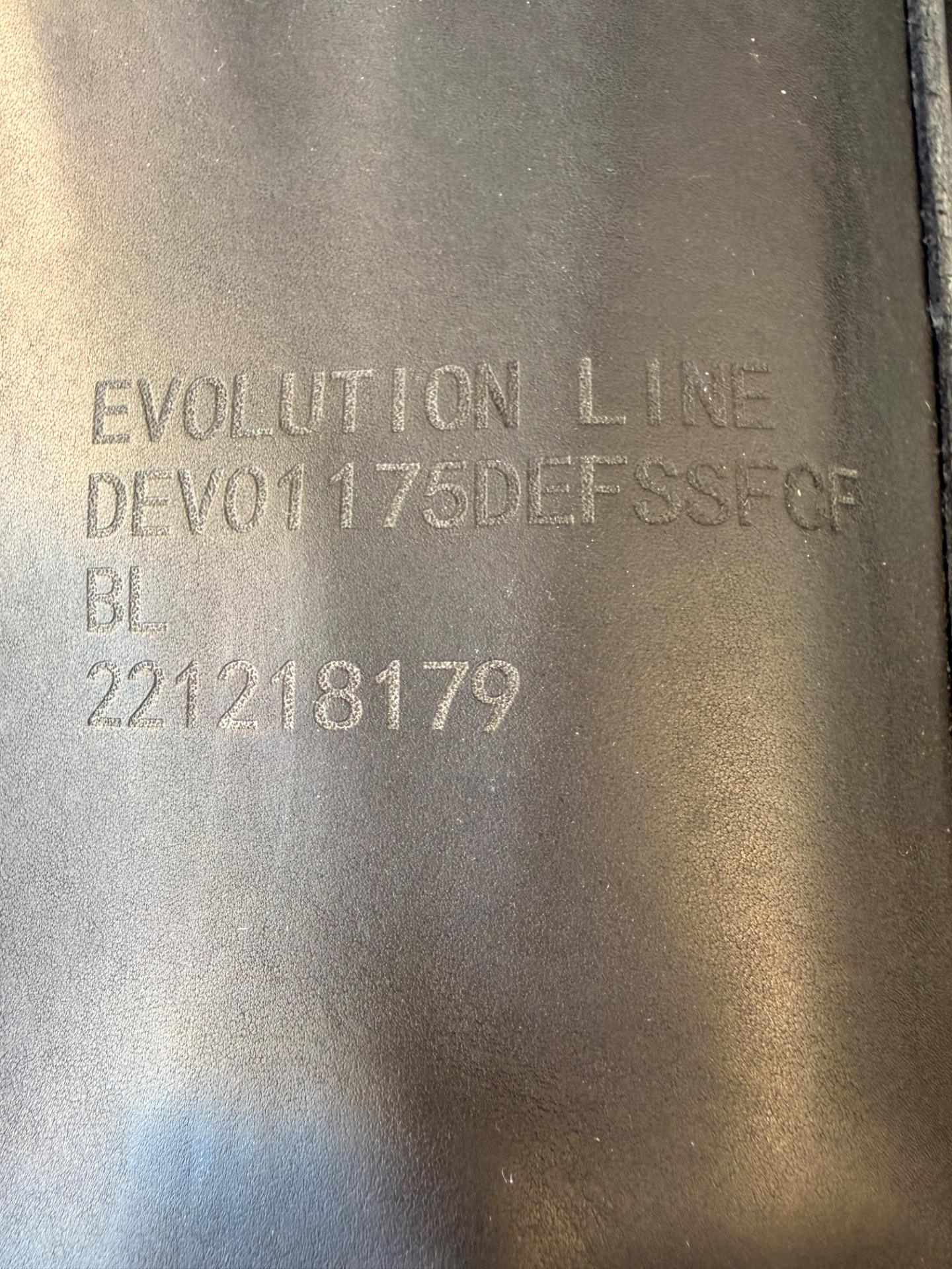 Ikonic Evolution – Bild 2 von 10