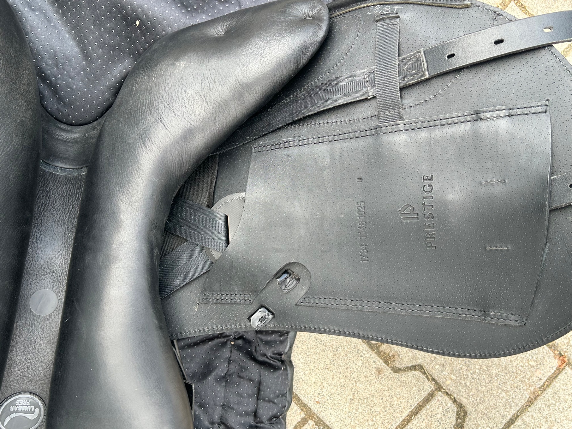 Prestige Euroriding Leggera k – Bild 6 von 7