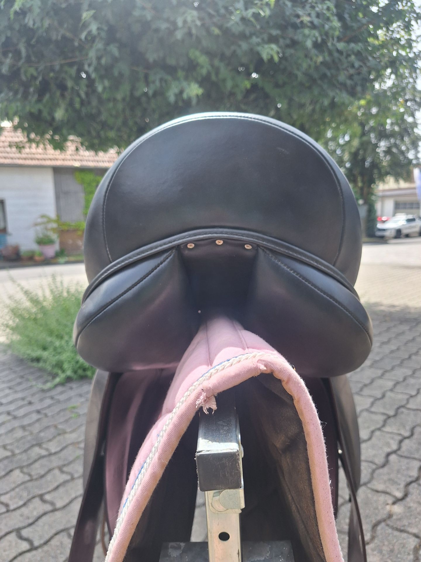 Busse Basel – Bild 3 von 7