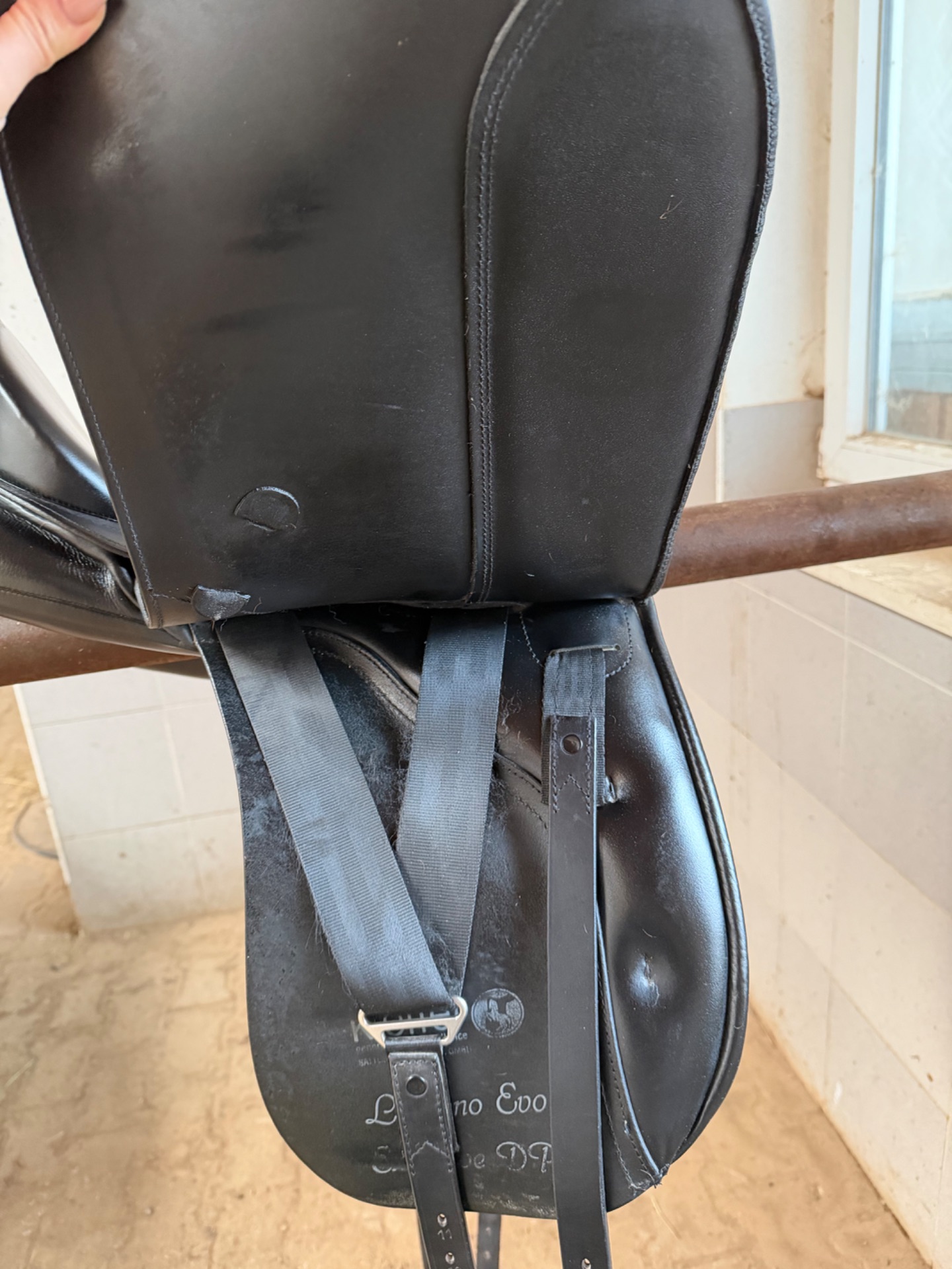 Kieffer Lusitano Evo Exclusive DP – Bild 4 von 10