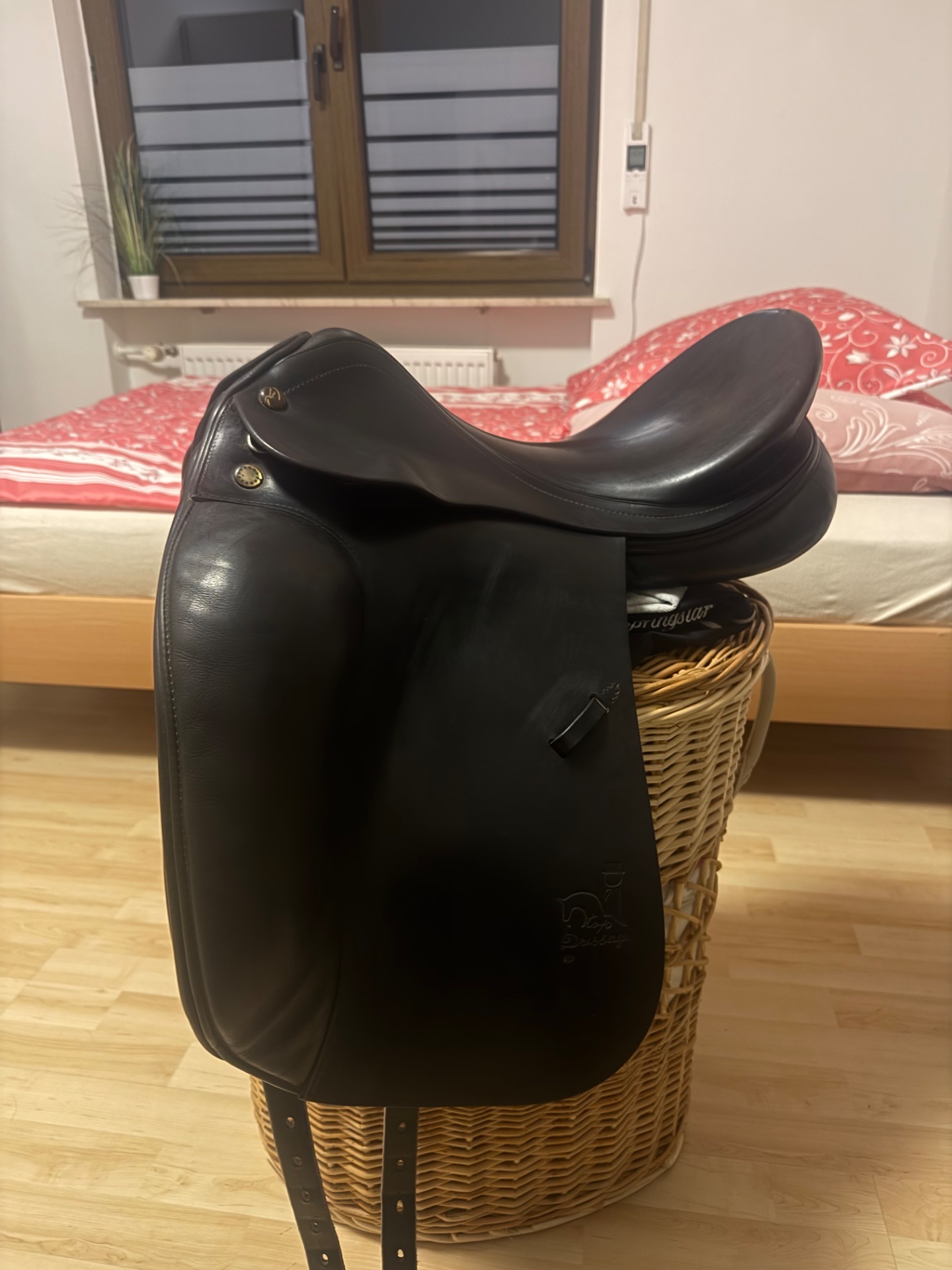 Prestige Top Dressage sp – Bild 1 von 10