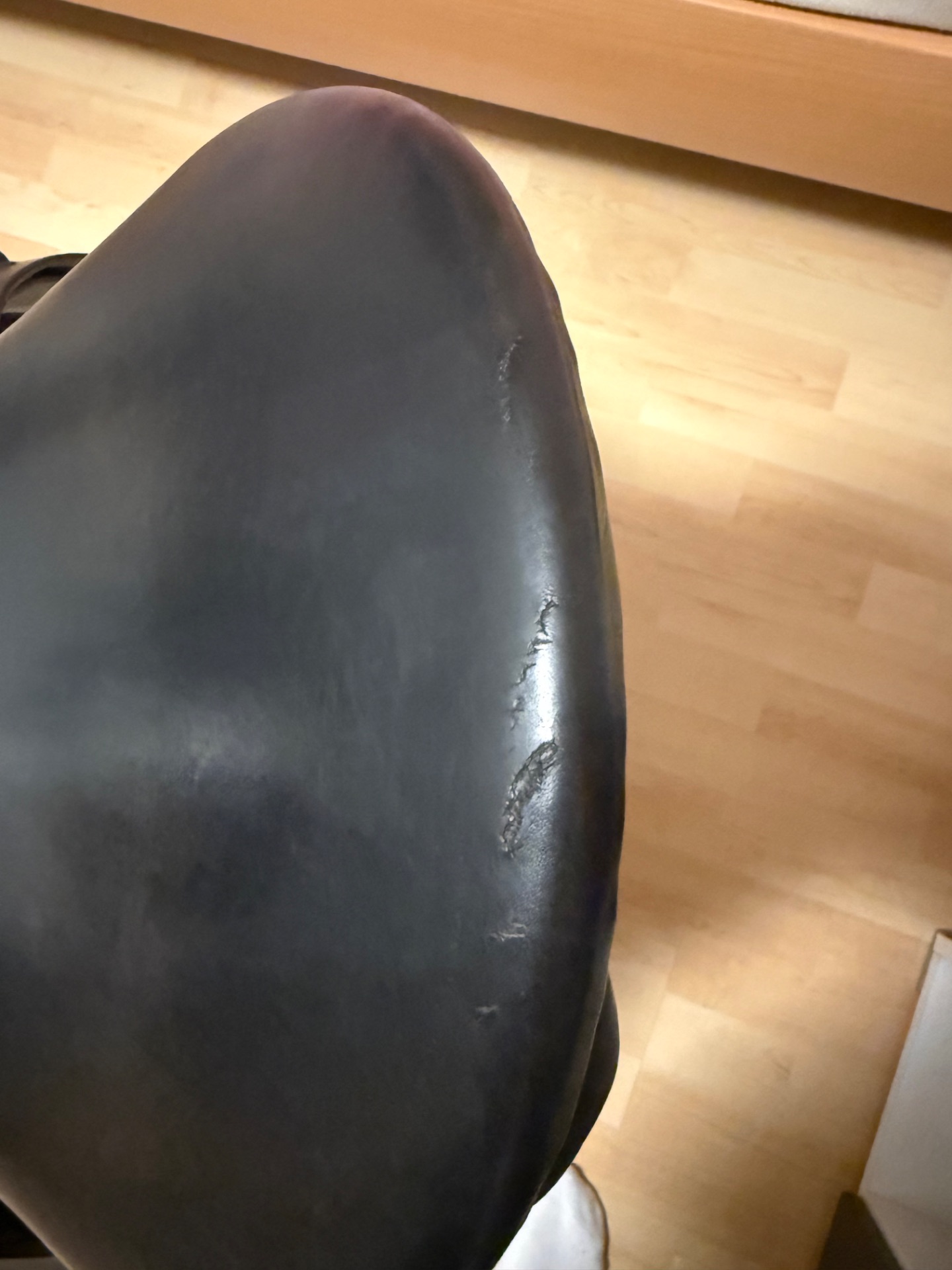 Prestige Top Dressage sp – Bild 6 von 10