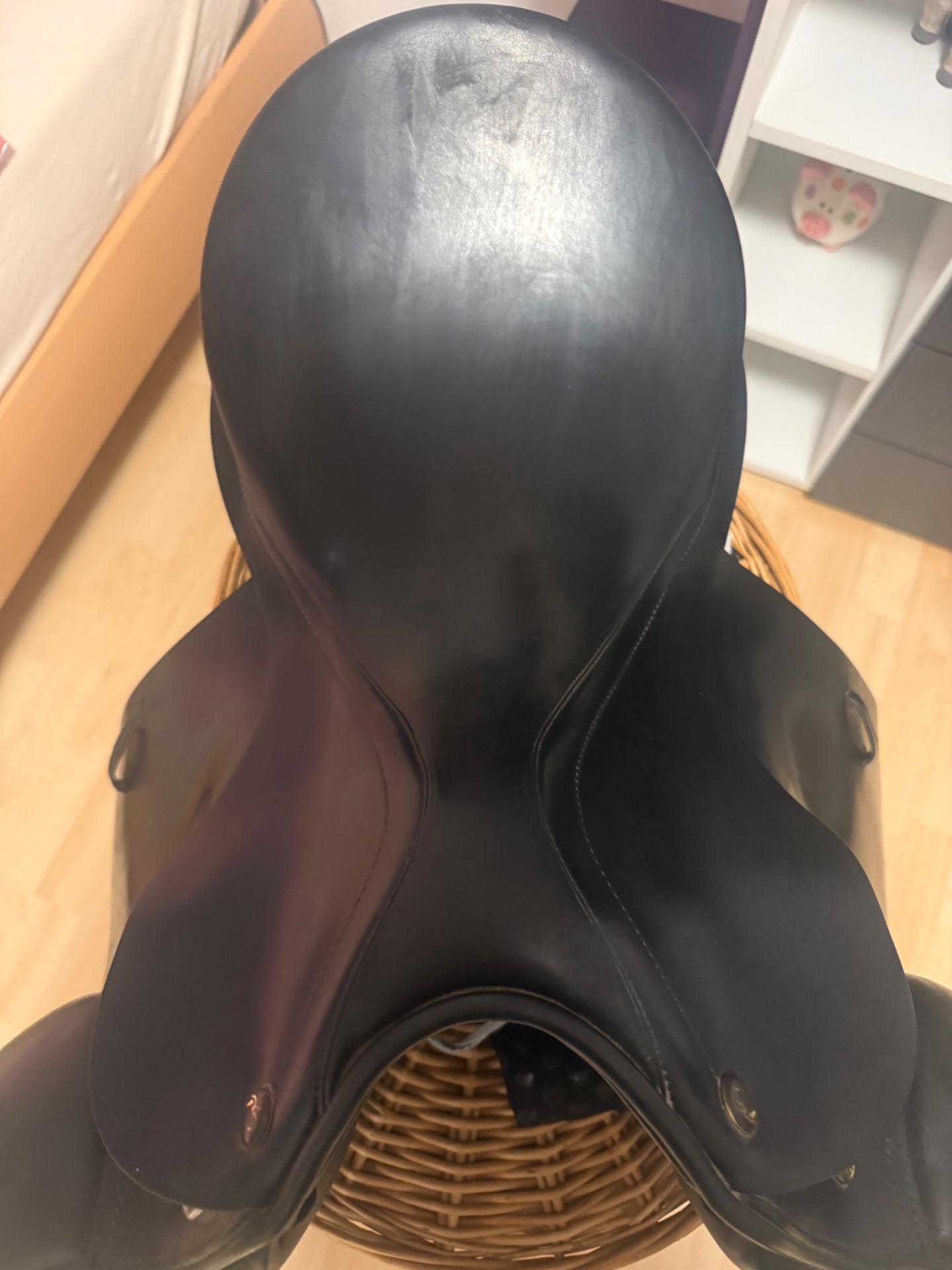 Prestige Top Dressage sp – Bild 2 von 10
