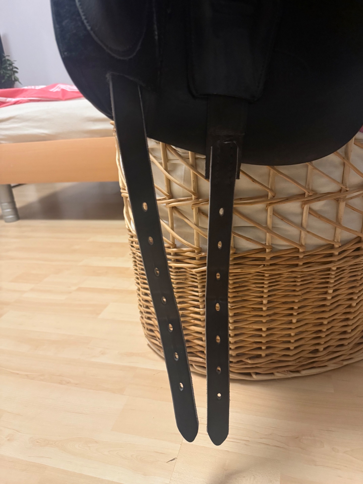 Prestige Top Dressage sp – Bild 7 von 10