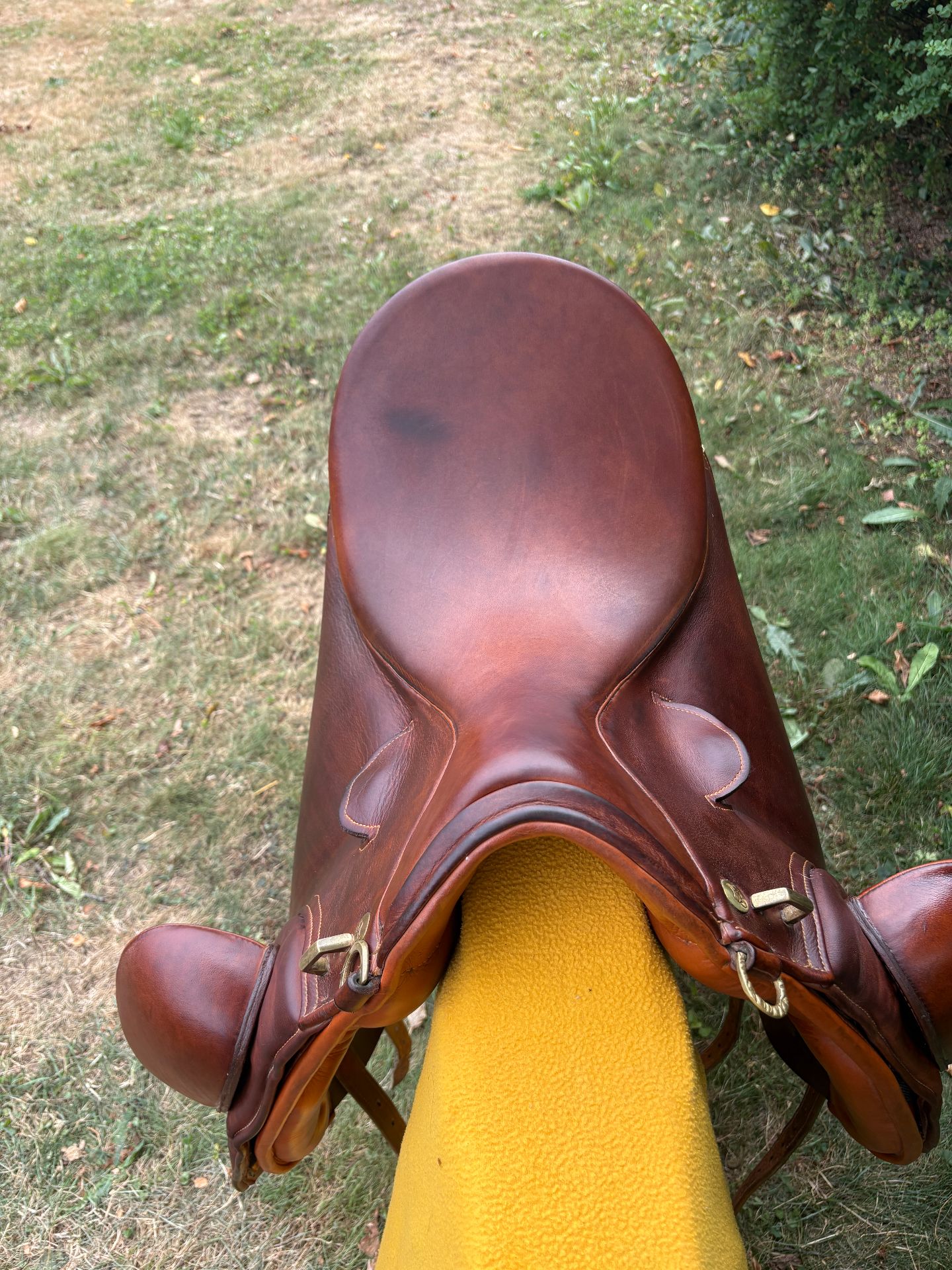 Zaldi Luso Deluxe – Bild 2 von 10