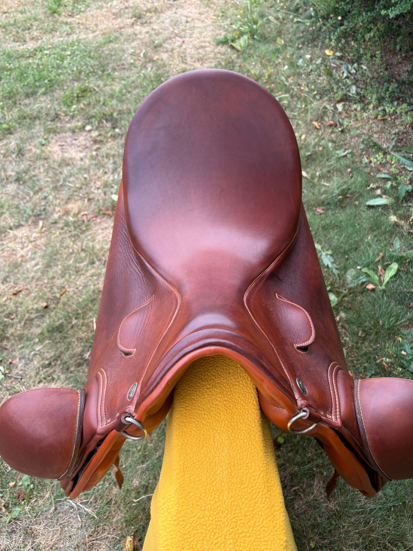 Zaldi Luso Deluxe – Bild 1 von 9