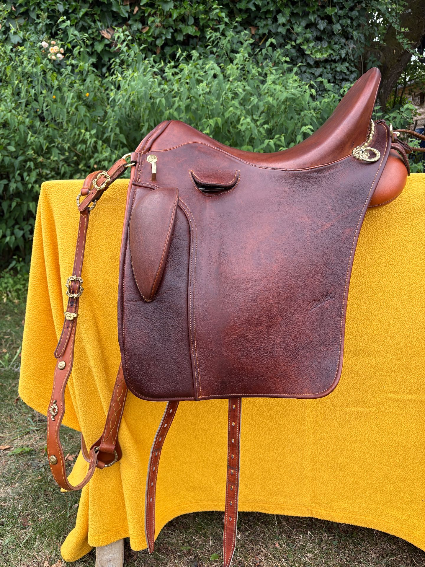 Zaldi Luso Deluxe – Bild 1 von 10