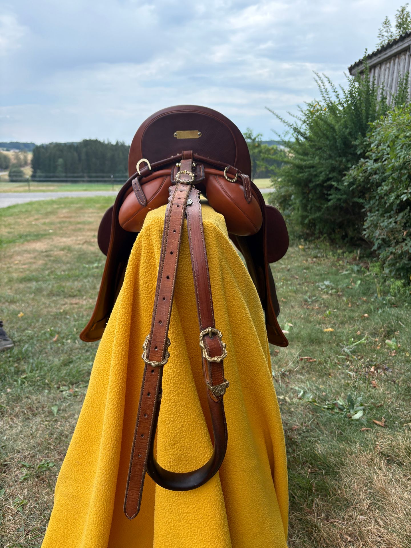 Zaldi Luso Deluxe – Bild 2 von 10