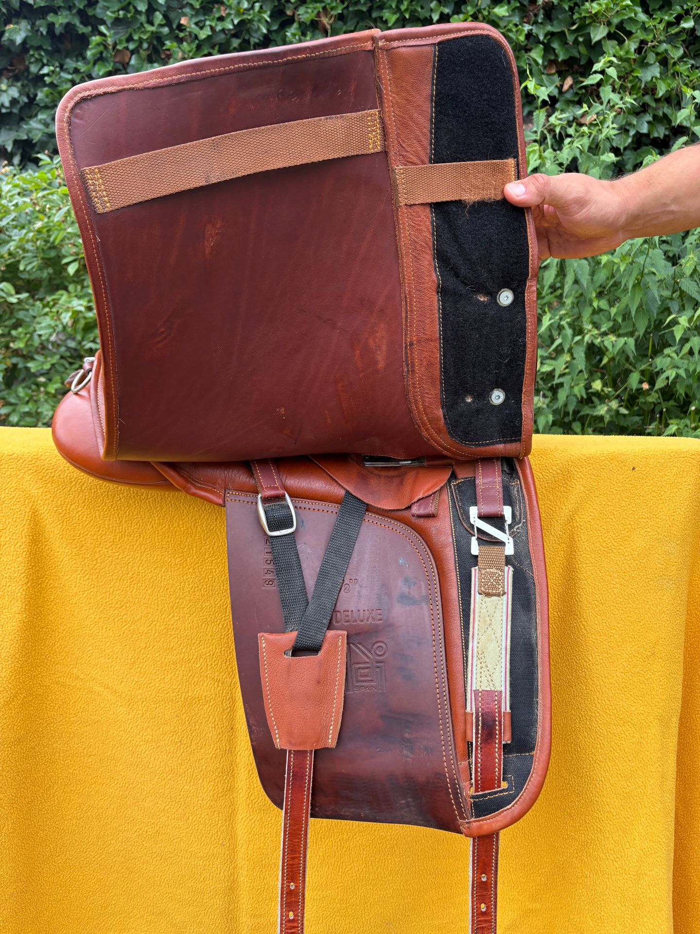Zaldi Luso Deluxe – Bild 4 von 9
