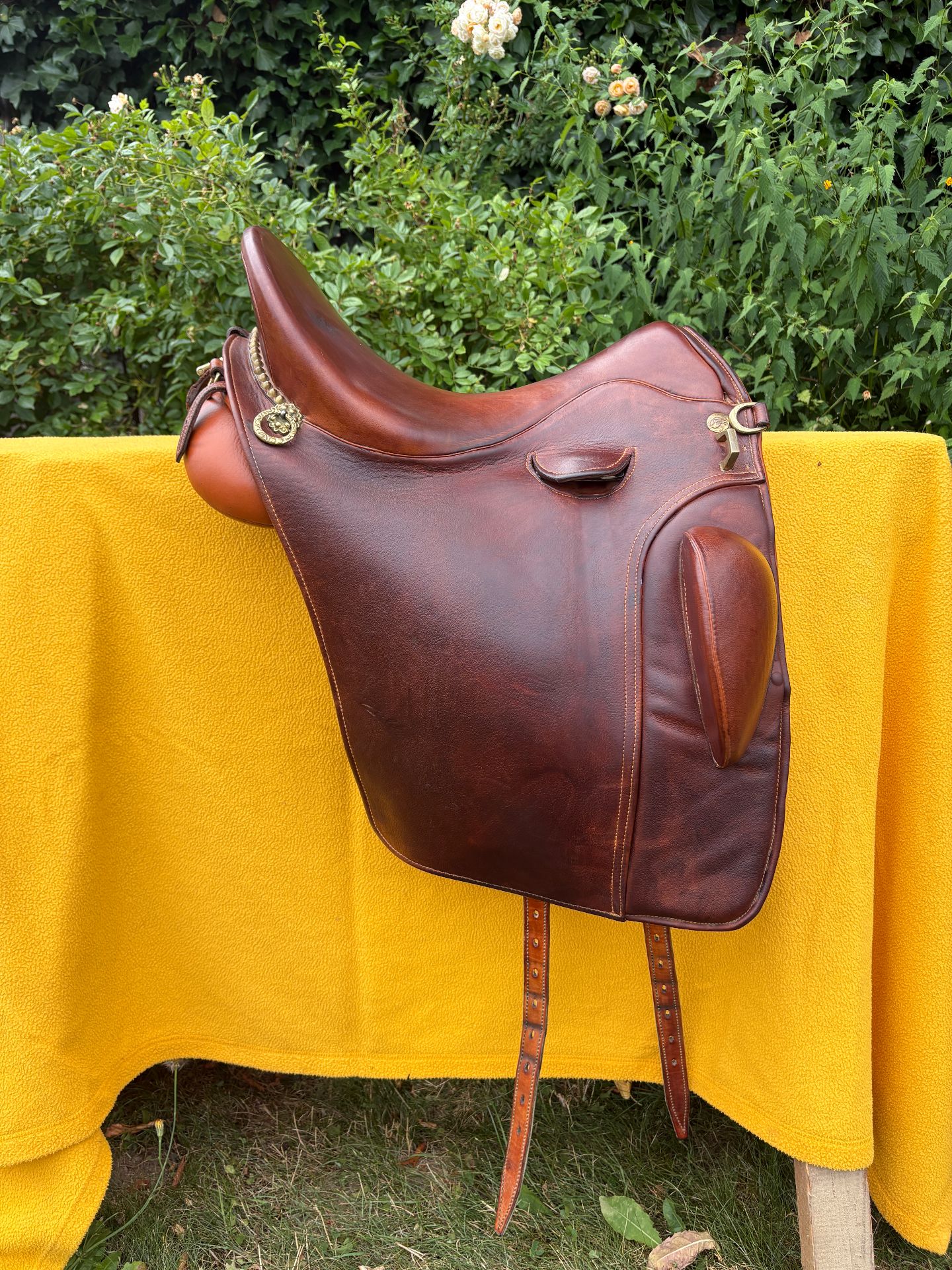 Zaldi Luso Deluxe – Bild 1 von 10