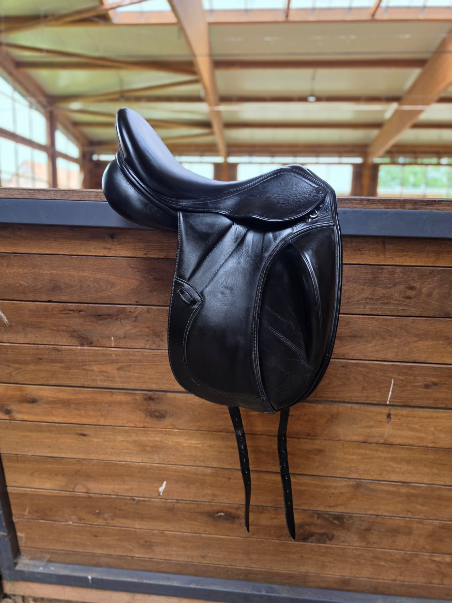 PDS Carl Hester – Bild 2 von 10