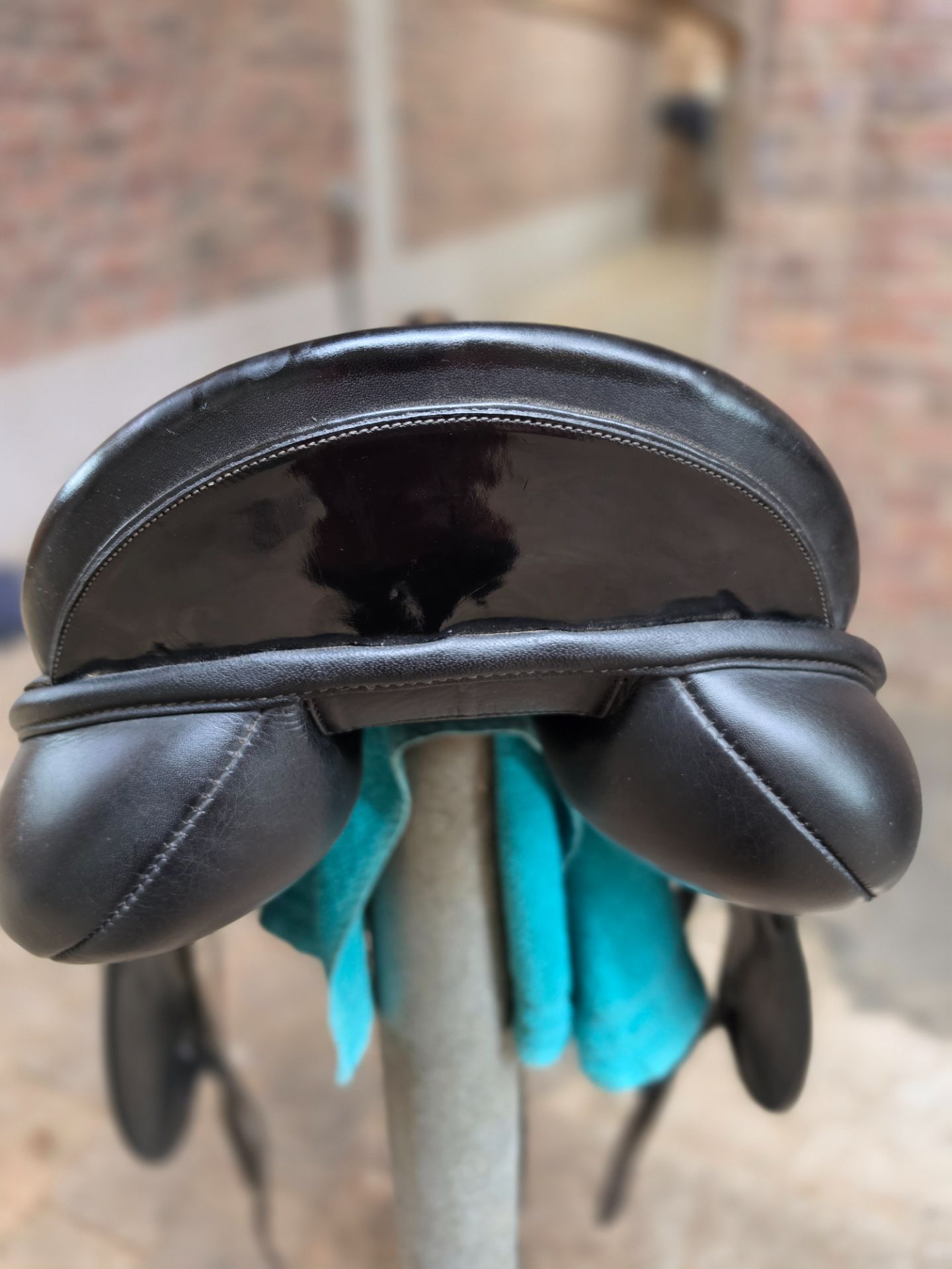 PDS Carl Hester – Bild 10 von 10