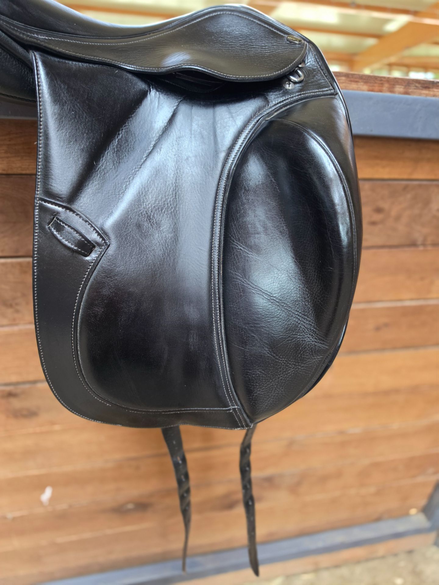 PDS Carl Hester – Bild 4 von 10