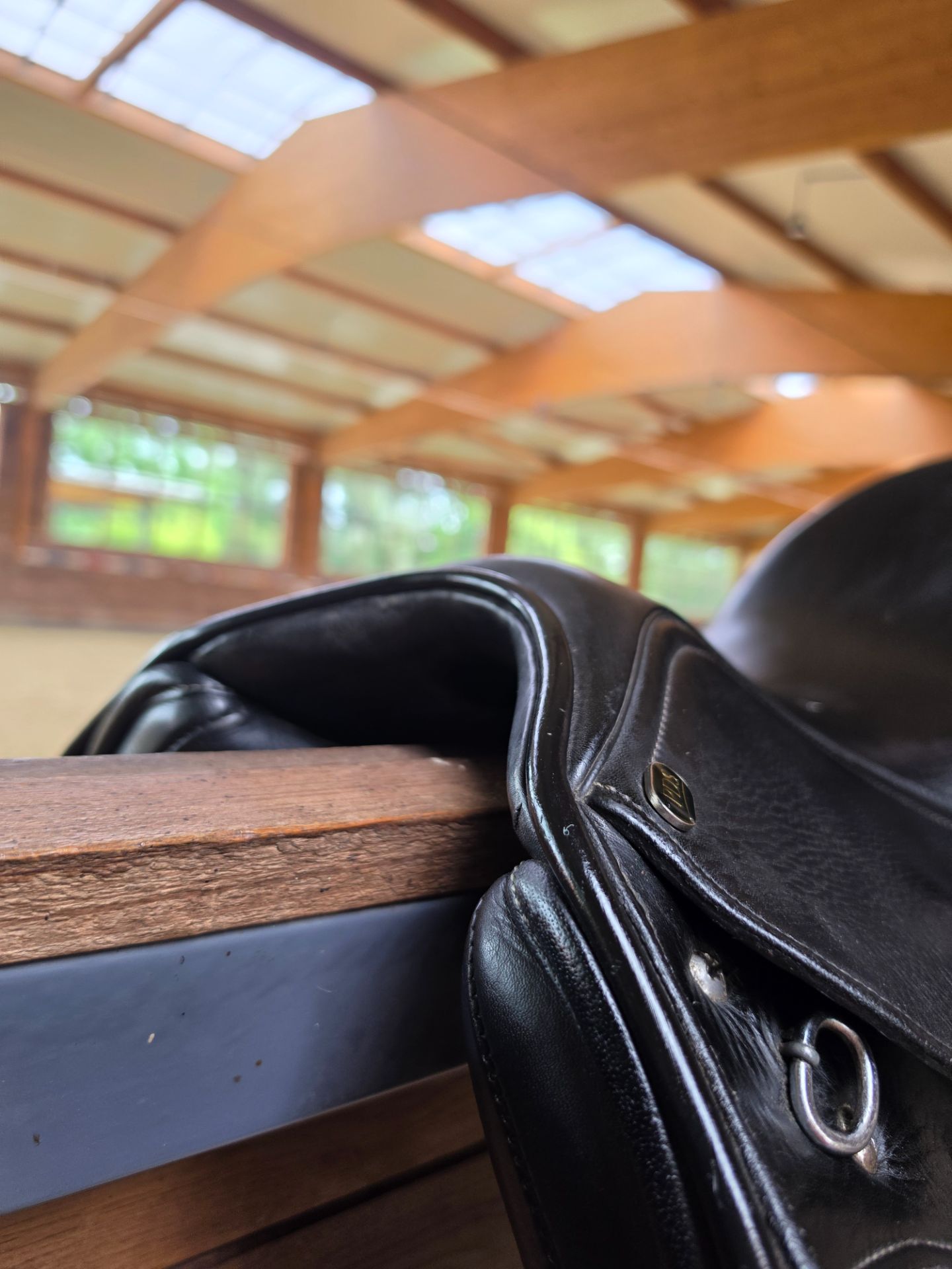 PDS Carl Hester – Bild 7 von 10