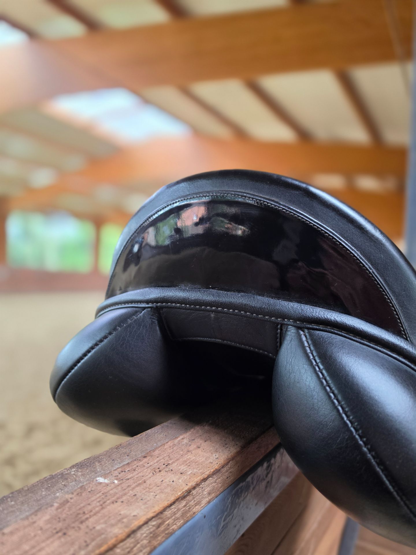 PDS Carl Hester – Bild 6 von 10