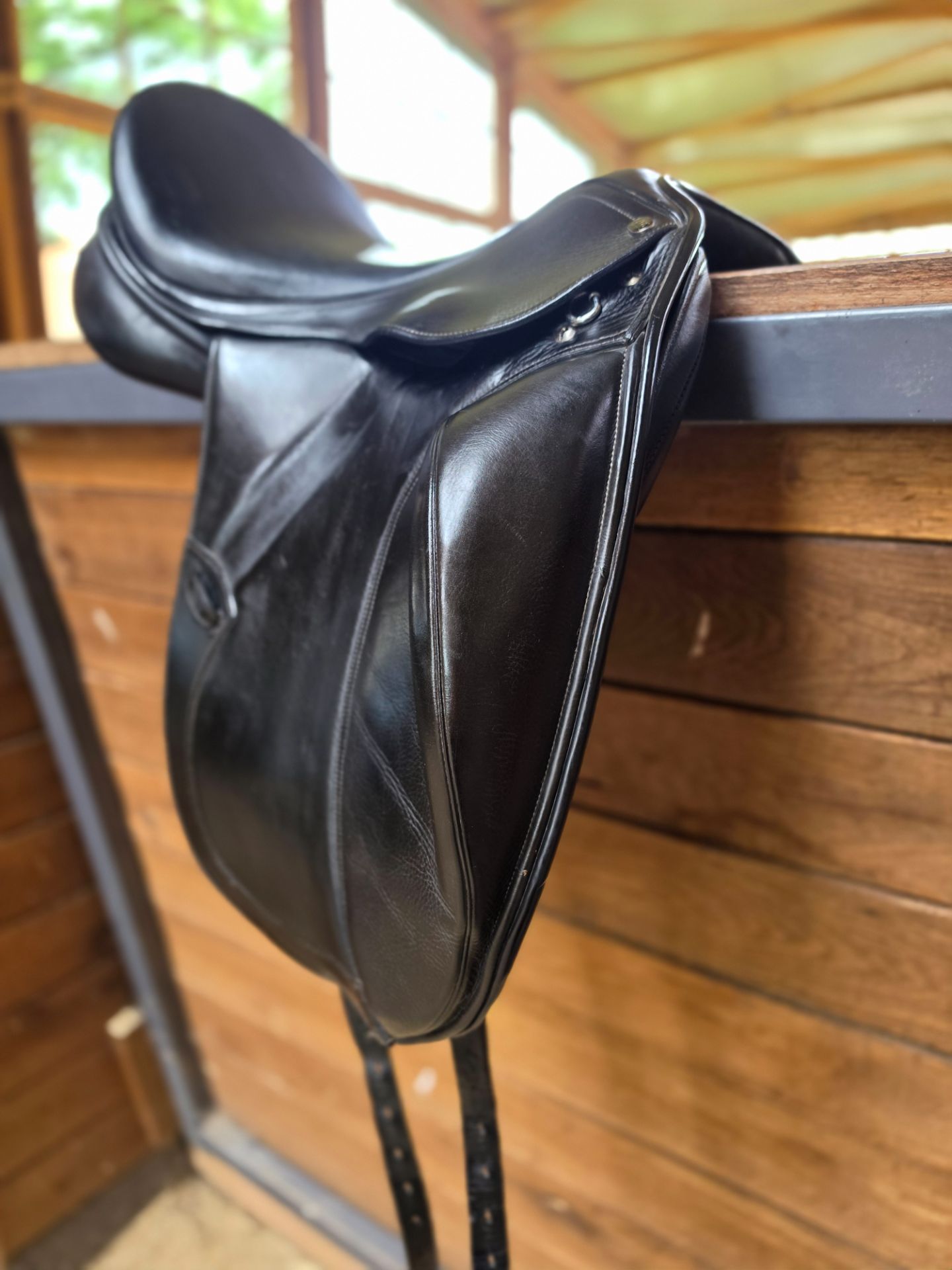 PDS Carl Hester – Bild 5 von 10