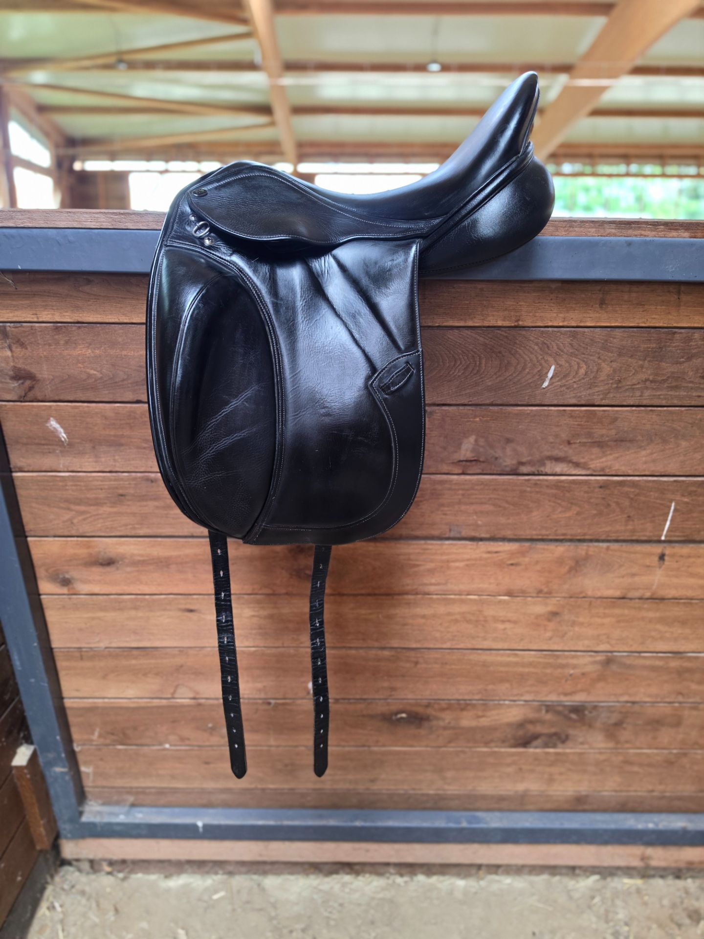 PDS Carl Hester – Bild 1 von 10