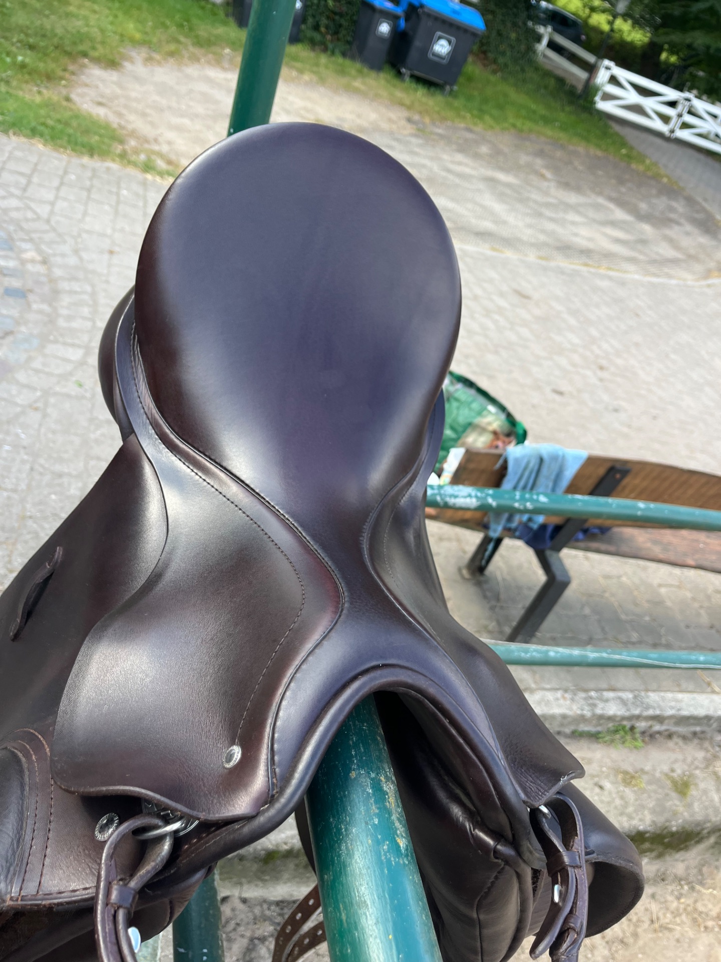 Passier Sirius – Bild 6 von 9