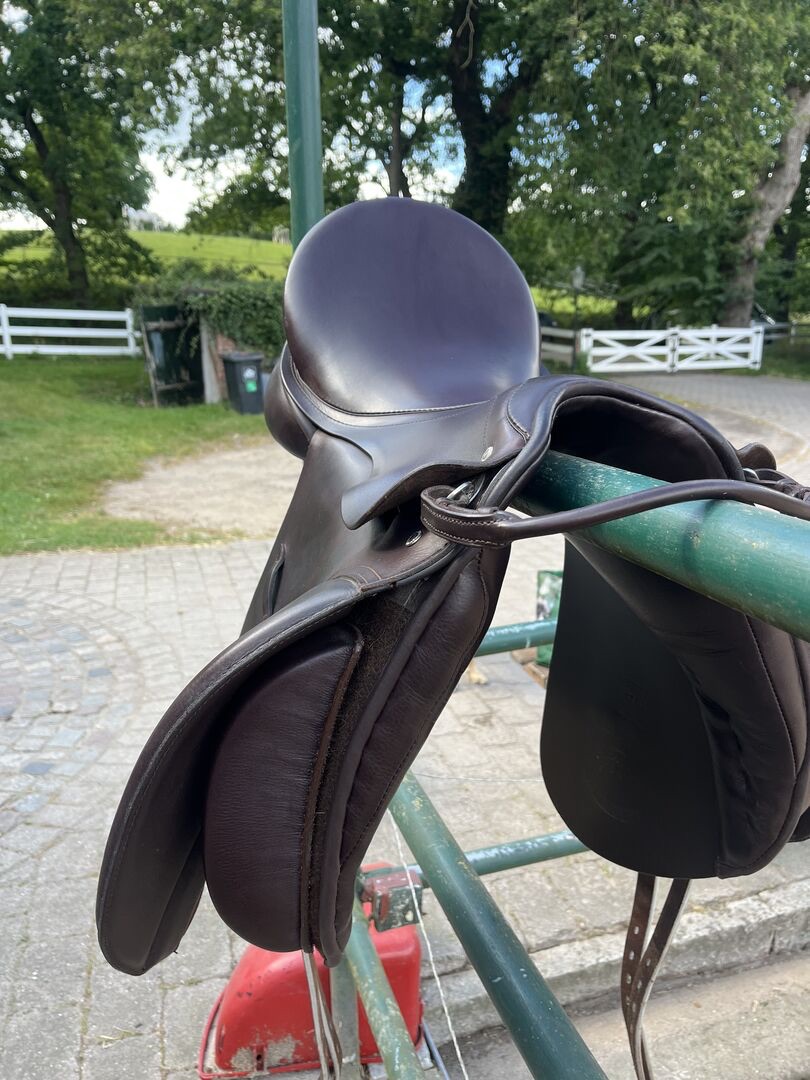 Passier Sirius – Bild 4 von 9
