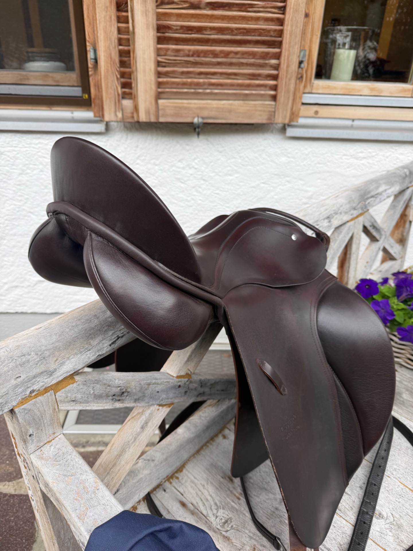 Passier Sirius – Bild 8 von 9