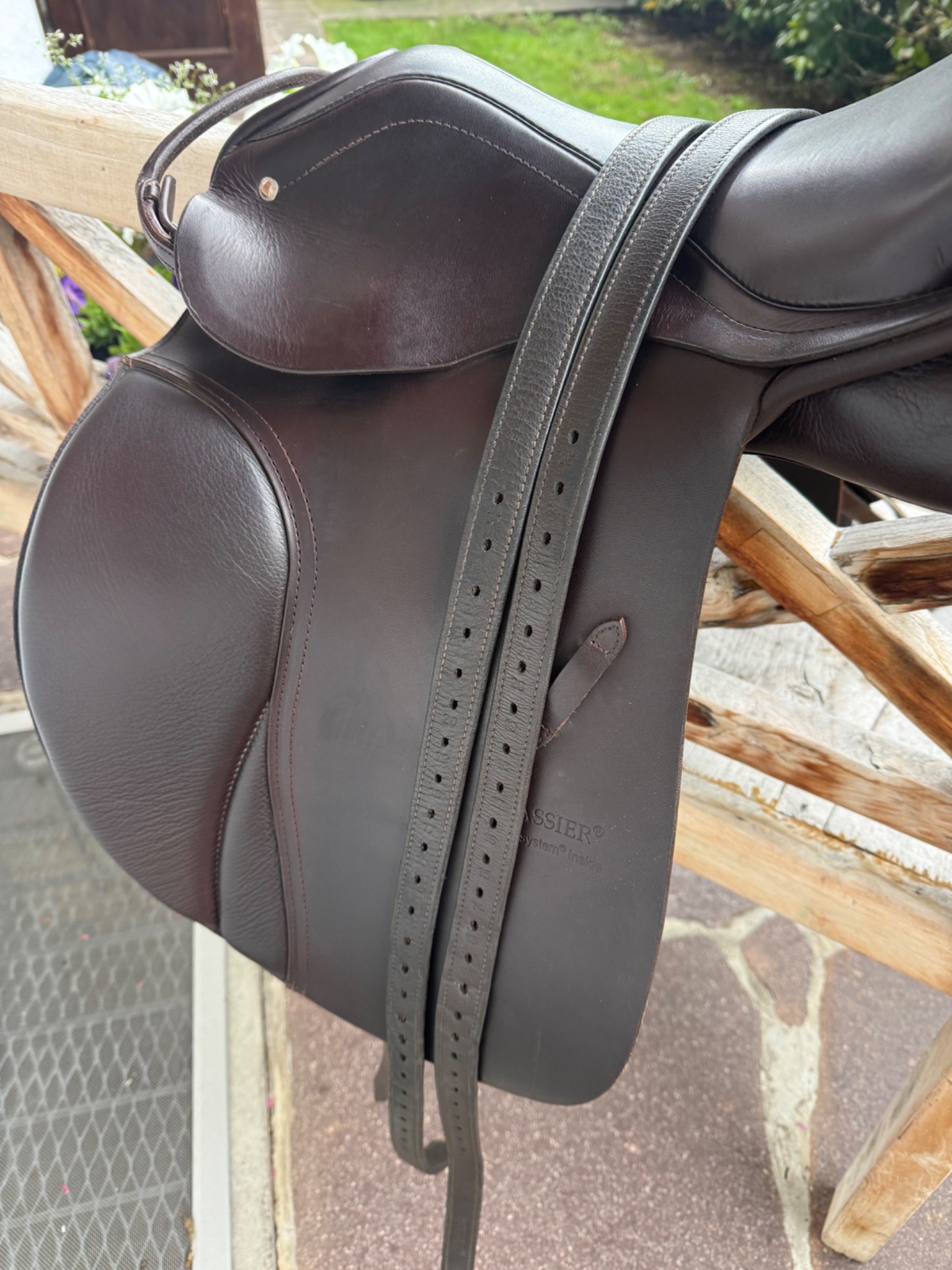 Passier Sirius – Bild 7 von 9