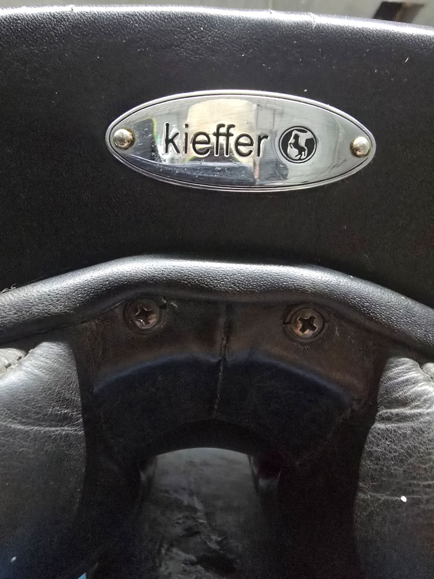 Kiefer Springsattel – Bild 1 von 6