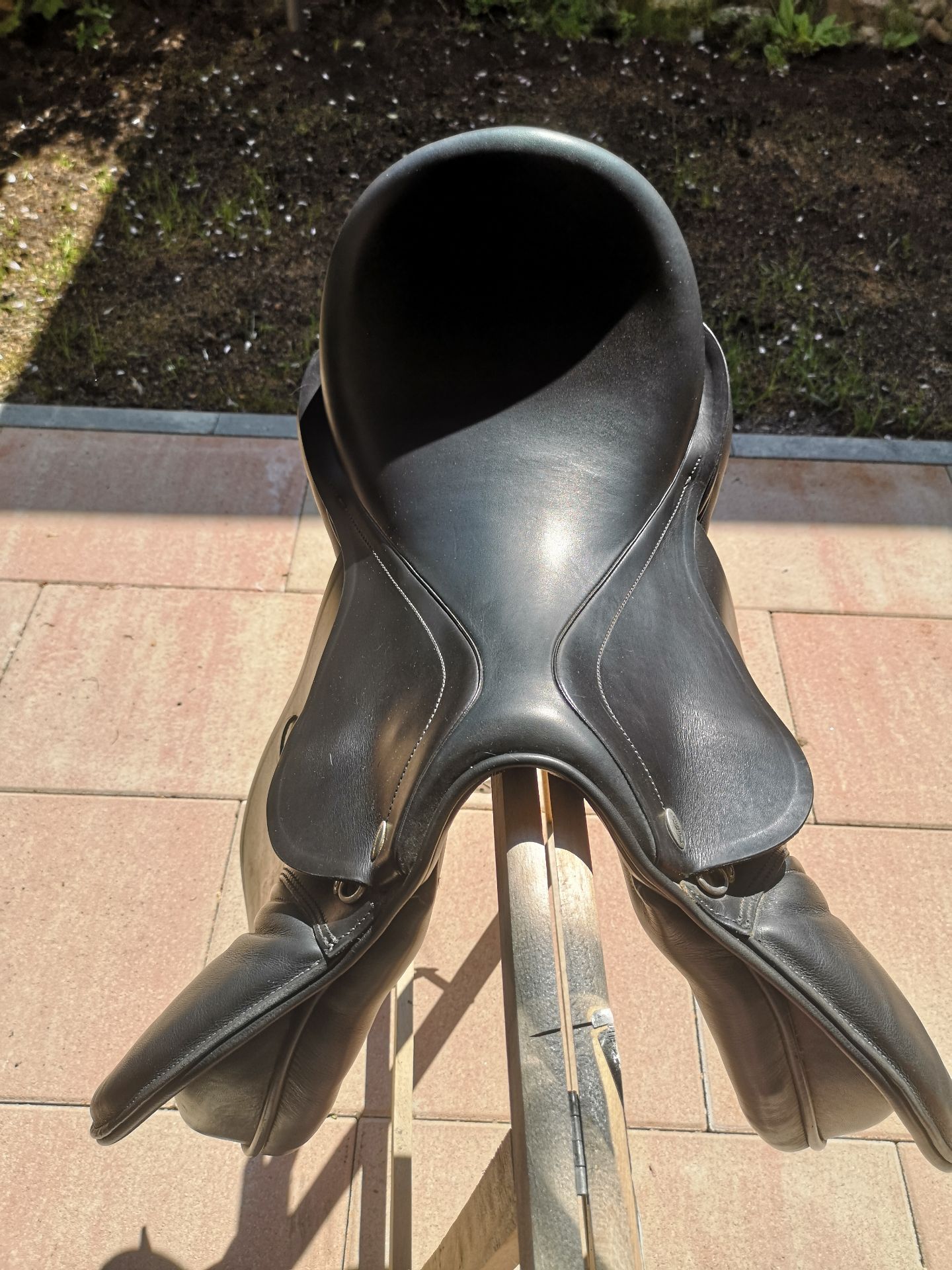 Kentaur Danae – Bild 1 von 10