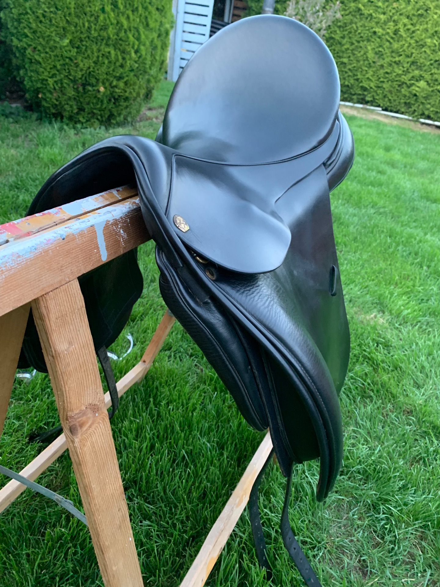 Sommer Esprit – Bild 2 von 6