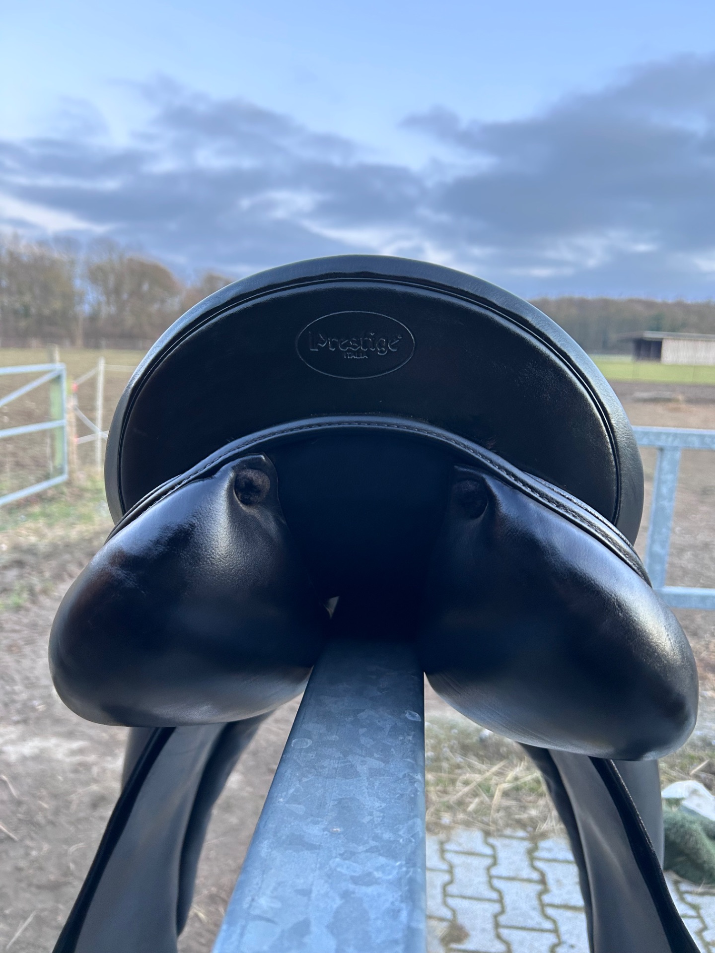 Prestige Top Dressage – Bild 4 von 10