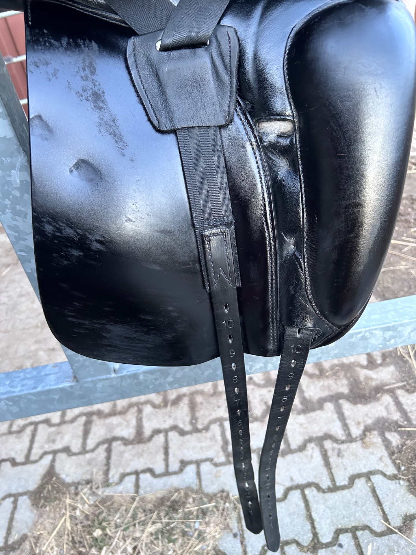 Prestige Top Dressage – Bild 10 von 10