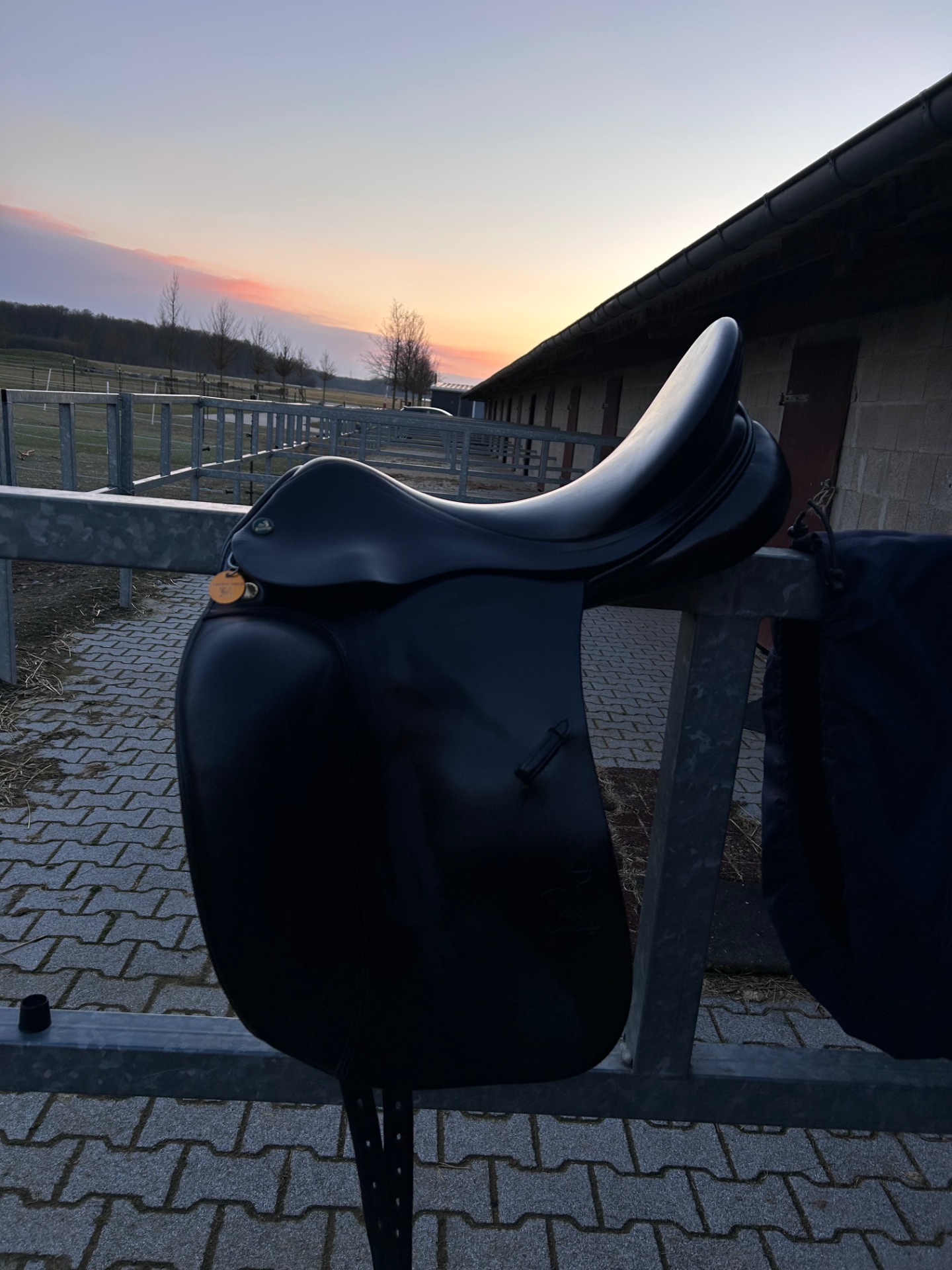 Prestige Top Dressage – Bild 1 von 10