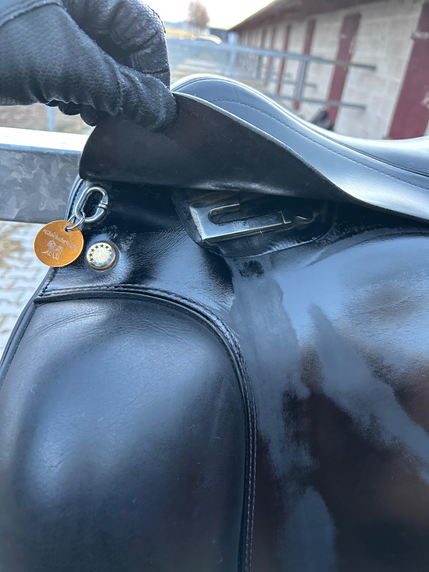 Prestige Top Dressage – Bild 6 von 10