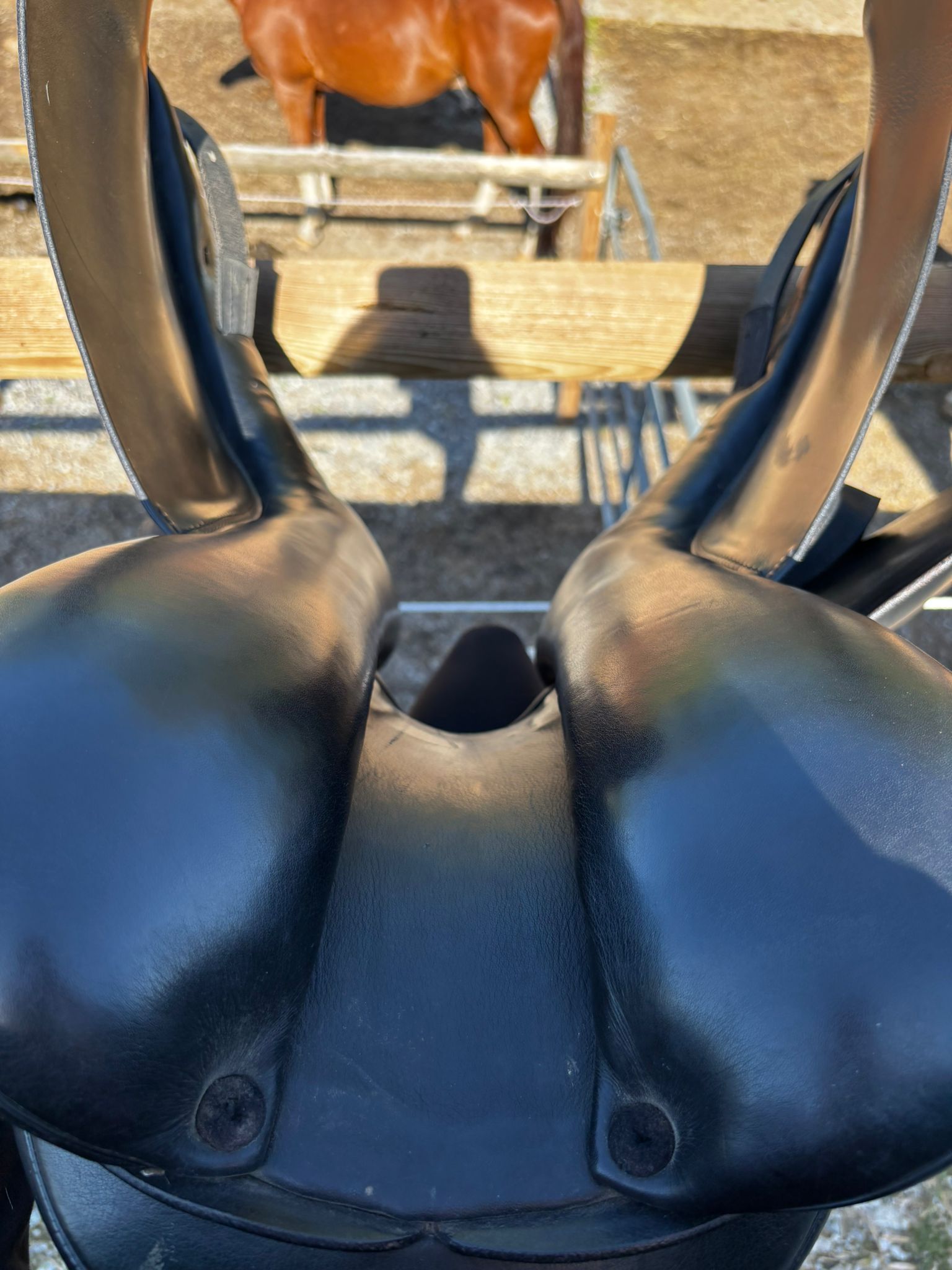 Prestige Top Dressage – Bild 6 von 7