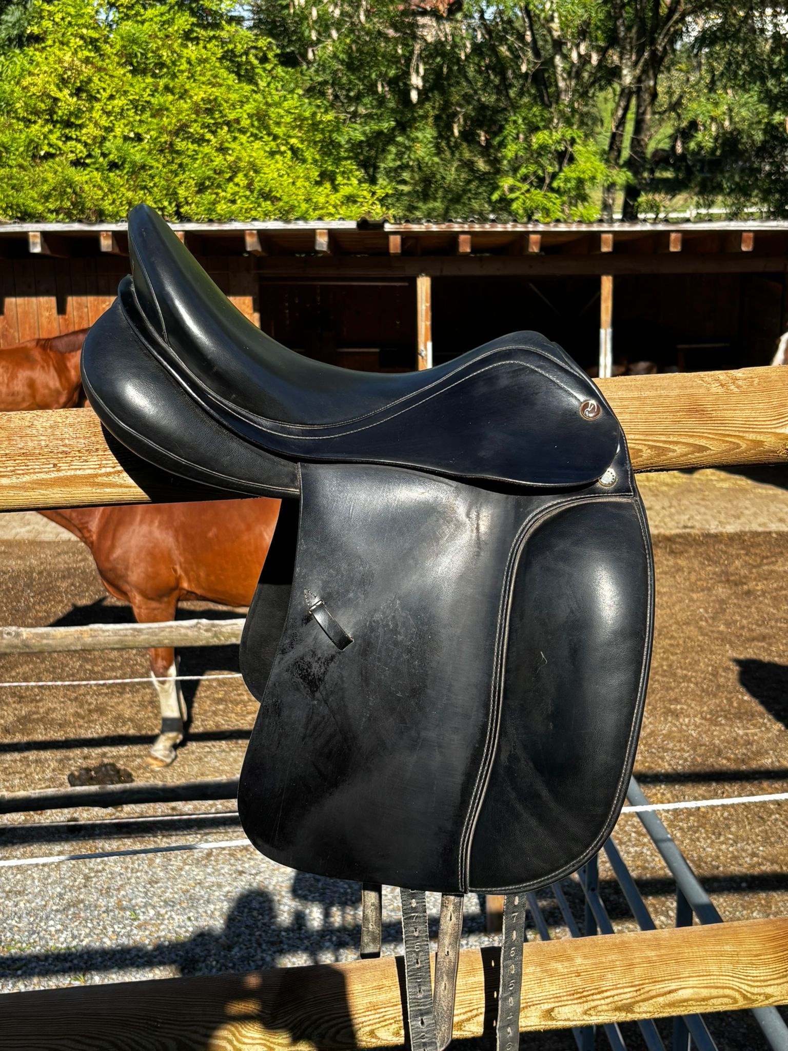Prestige Top Dressage – Bild 2 von 7