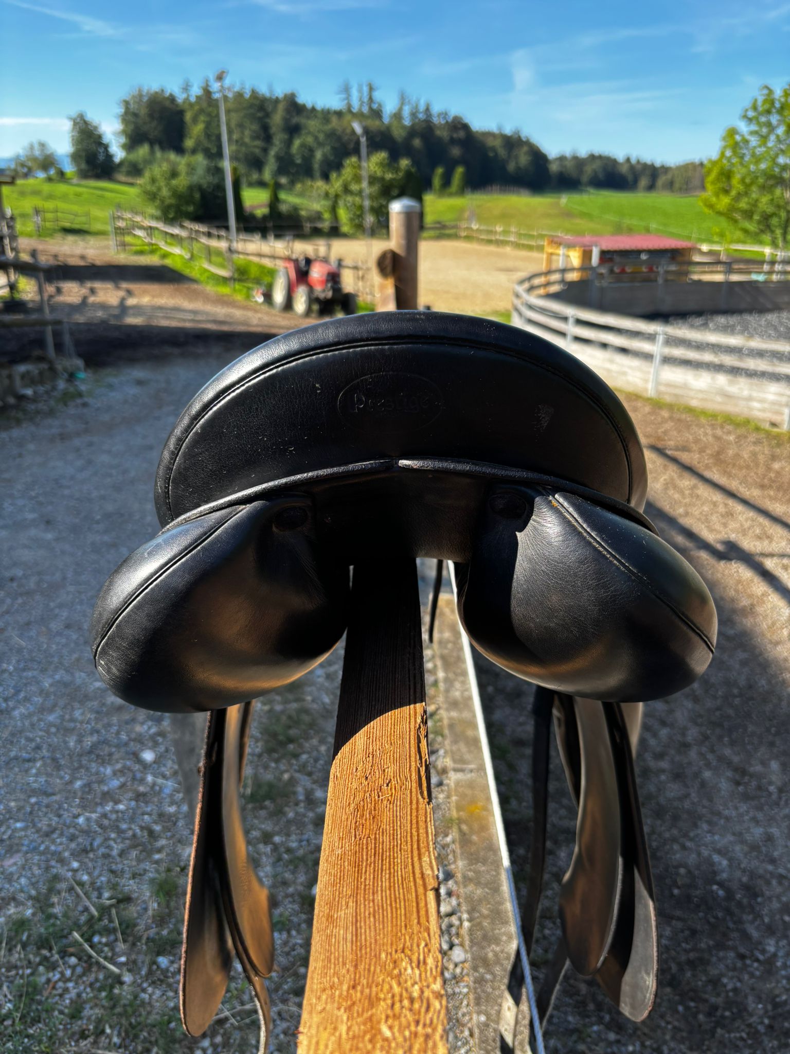 Prestige Top Dressage – Bild 5 von 7