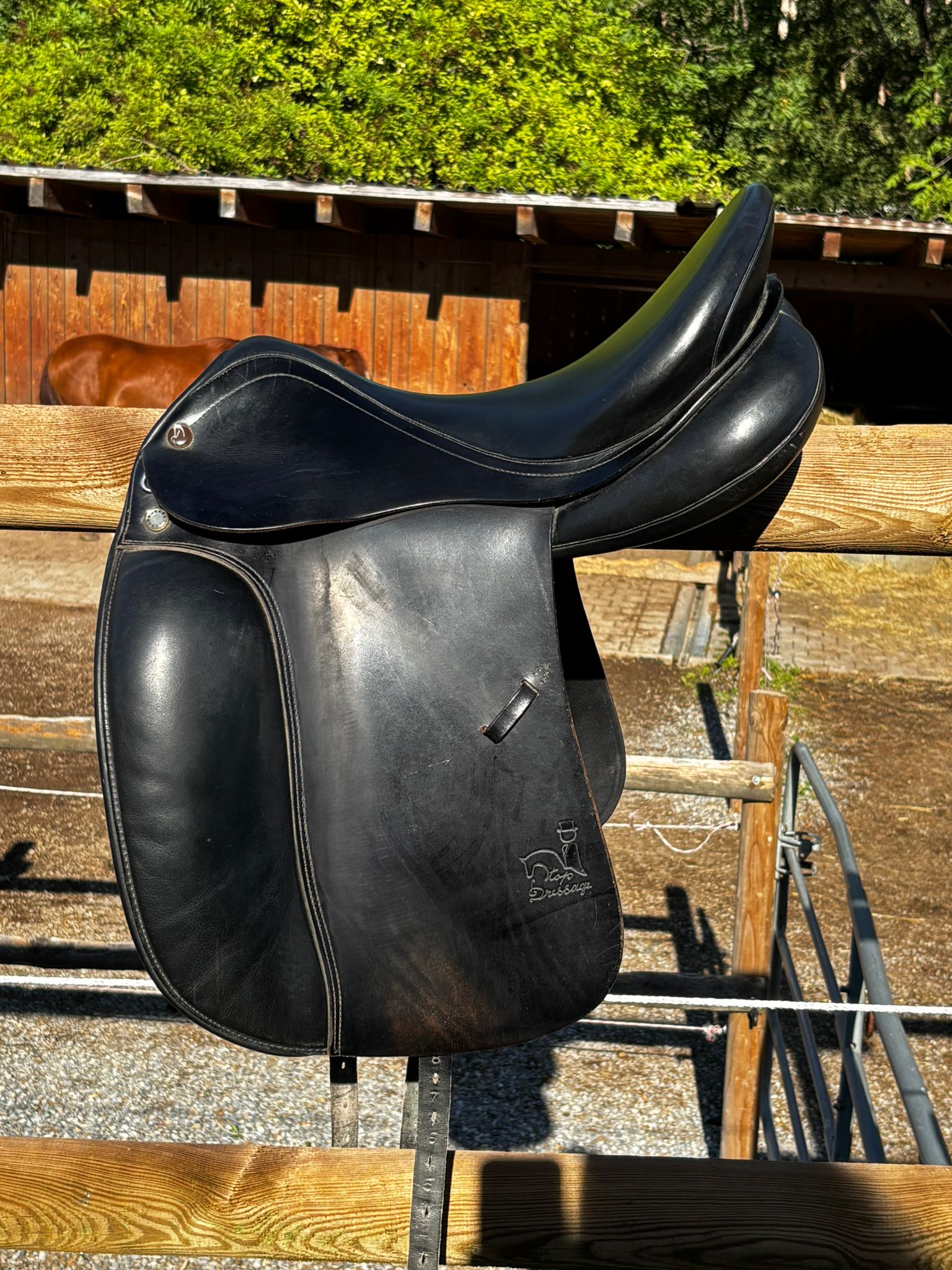 Prestige Top Dressage – Bild 1 von 7